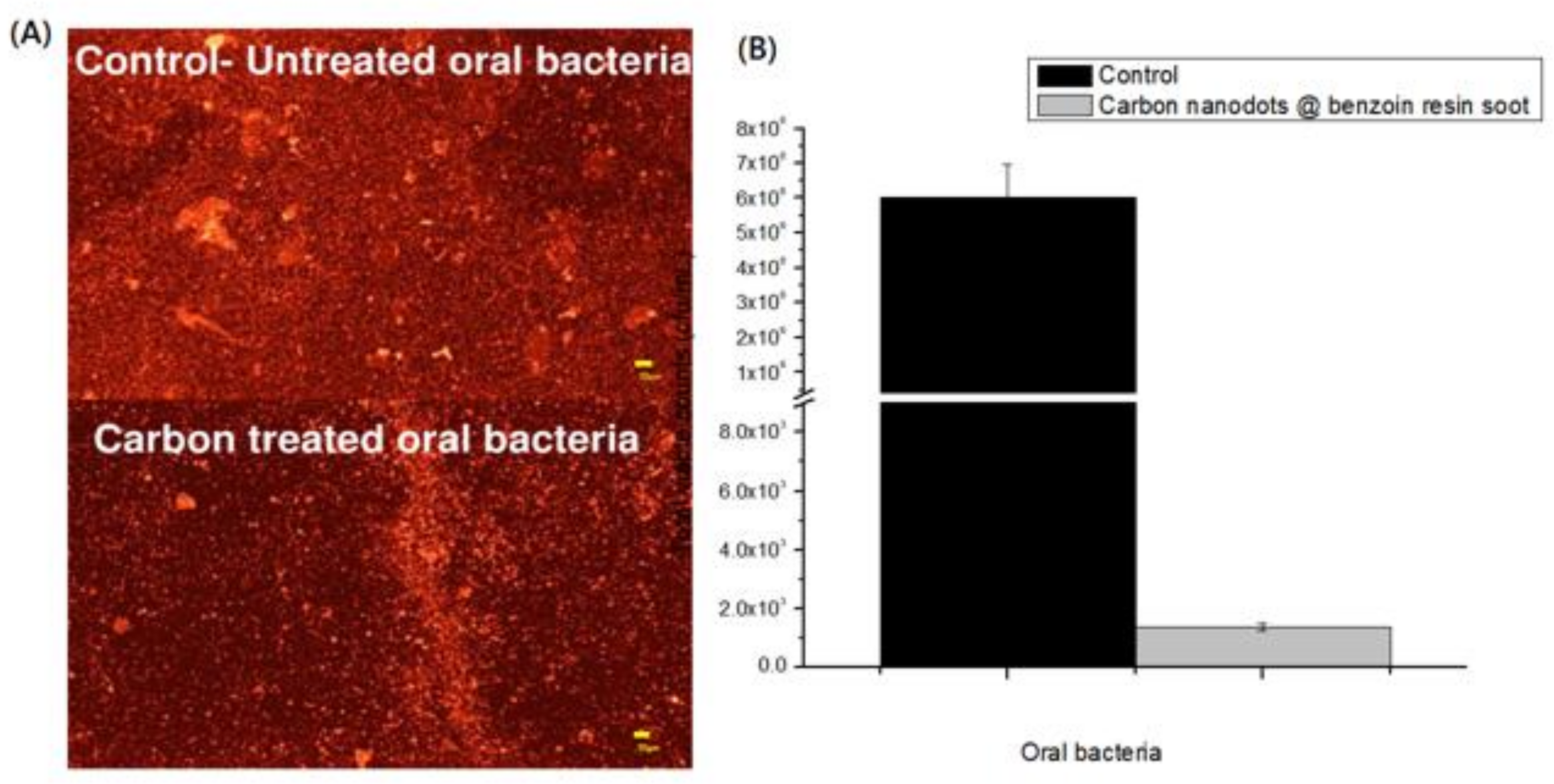 Processes 13 00484 g006