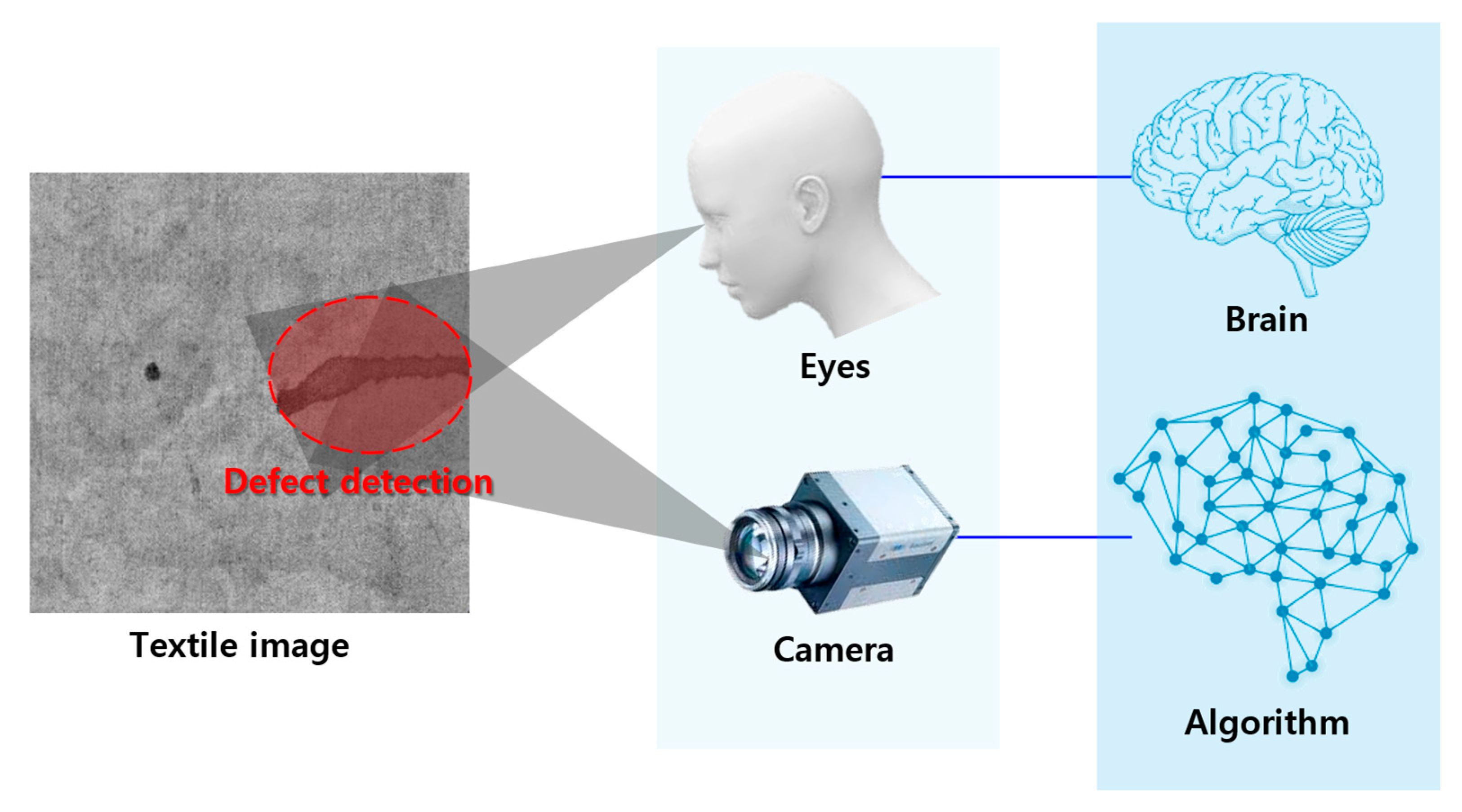 Processes 13 00486 g002