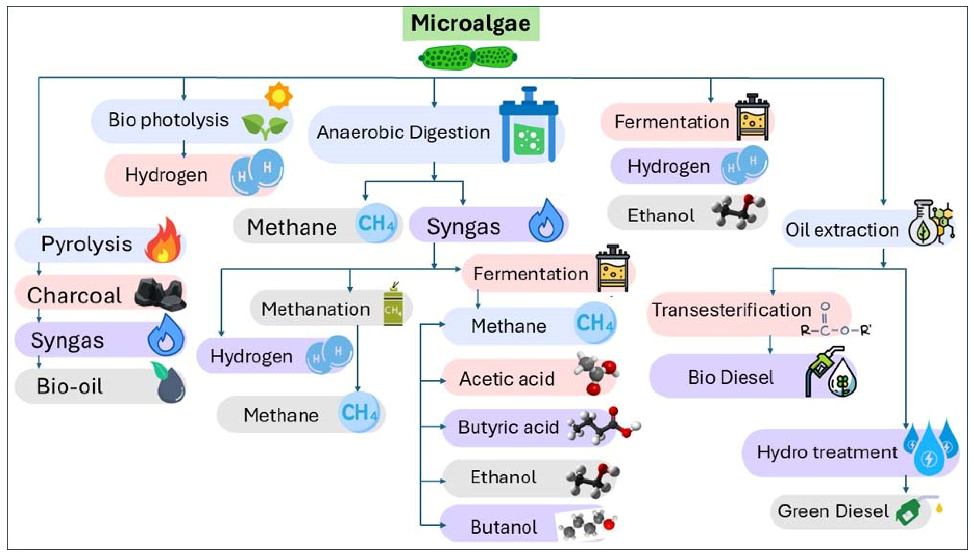 Processes 13 00488 g001
