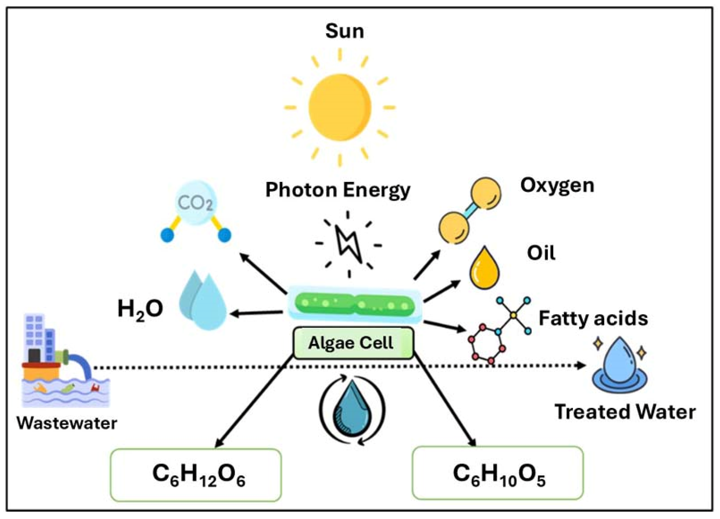 Processes 13 00488 g002