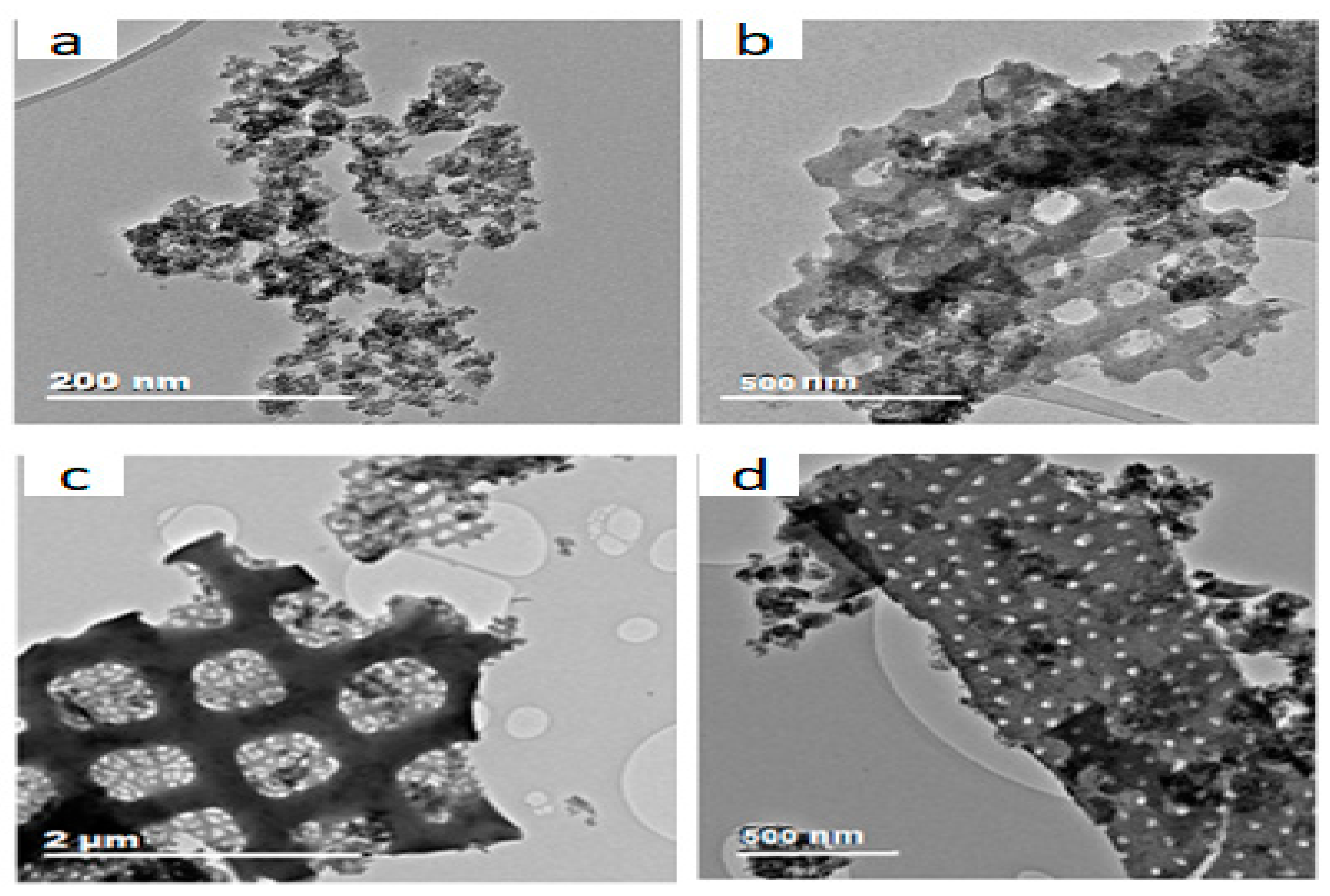 Processes 13 00501 g003