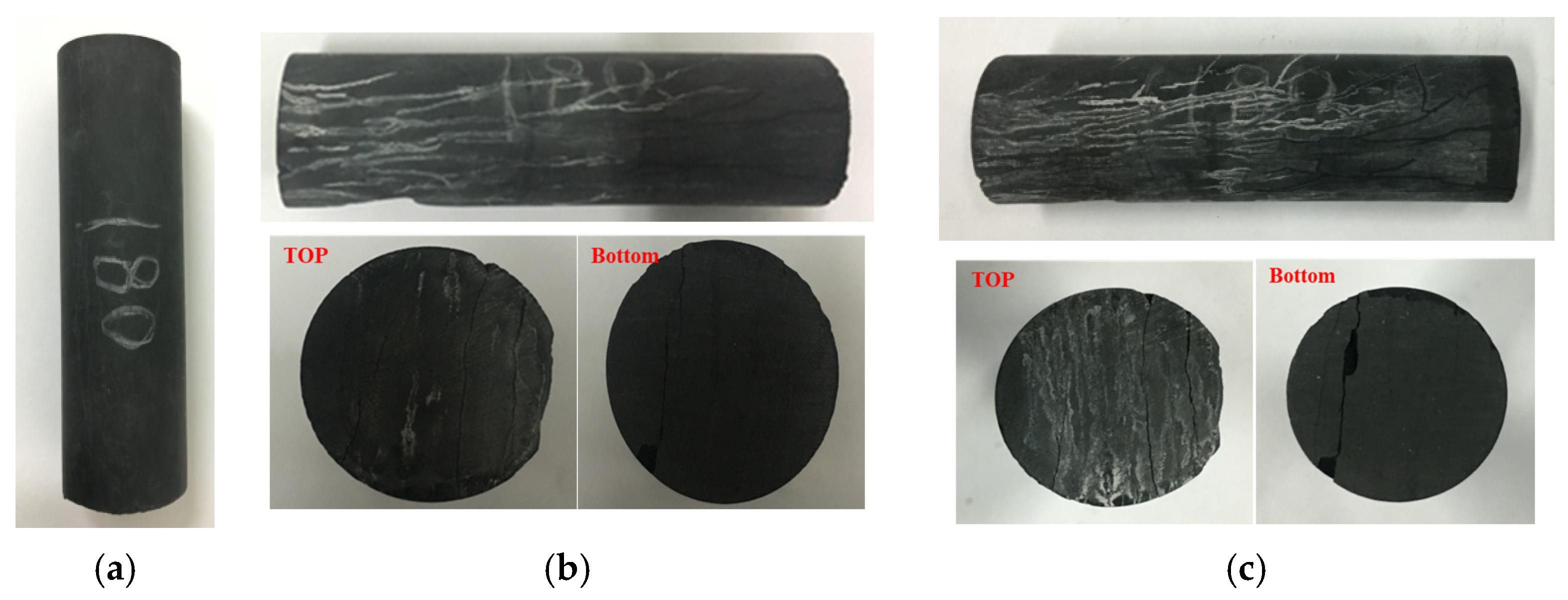 Processes 13 00503 g013