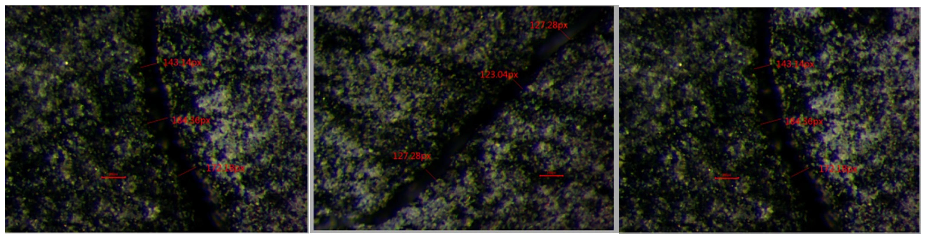 Processes 13 00503 g014
