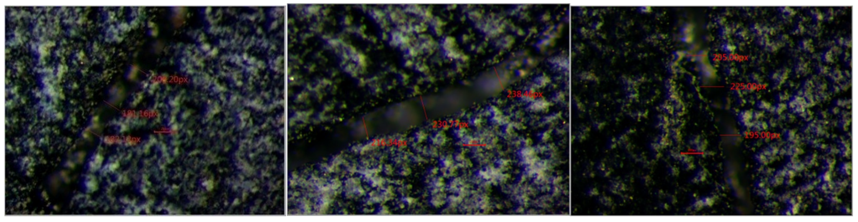 Processes 13 00503 g015