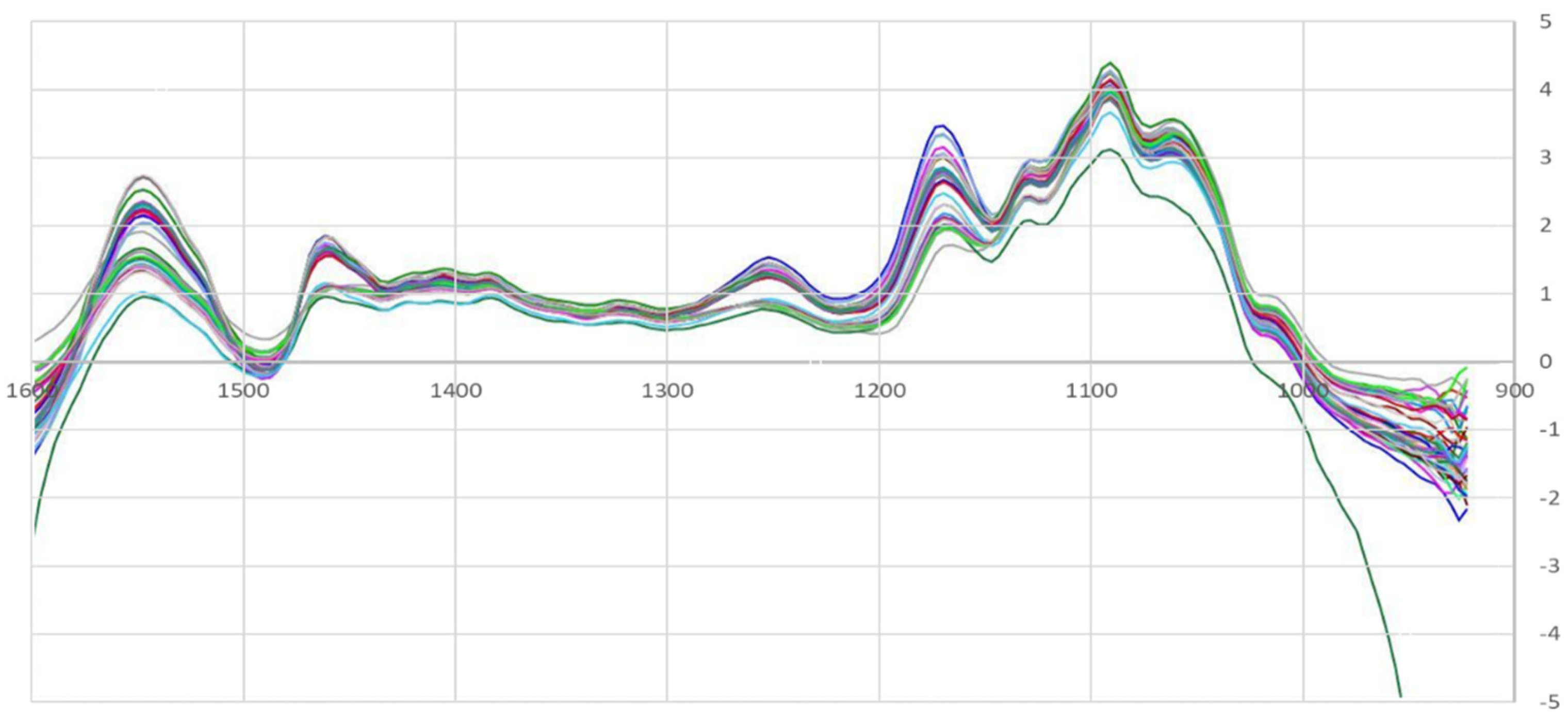 Processes 13 00518 g001