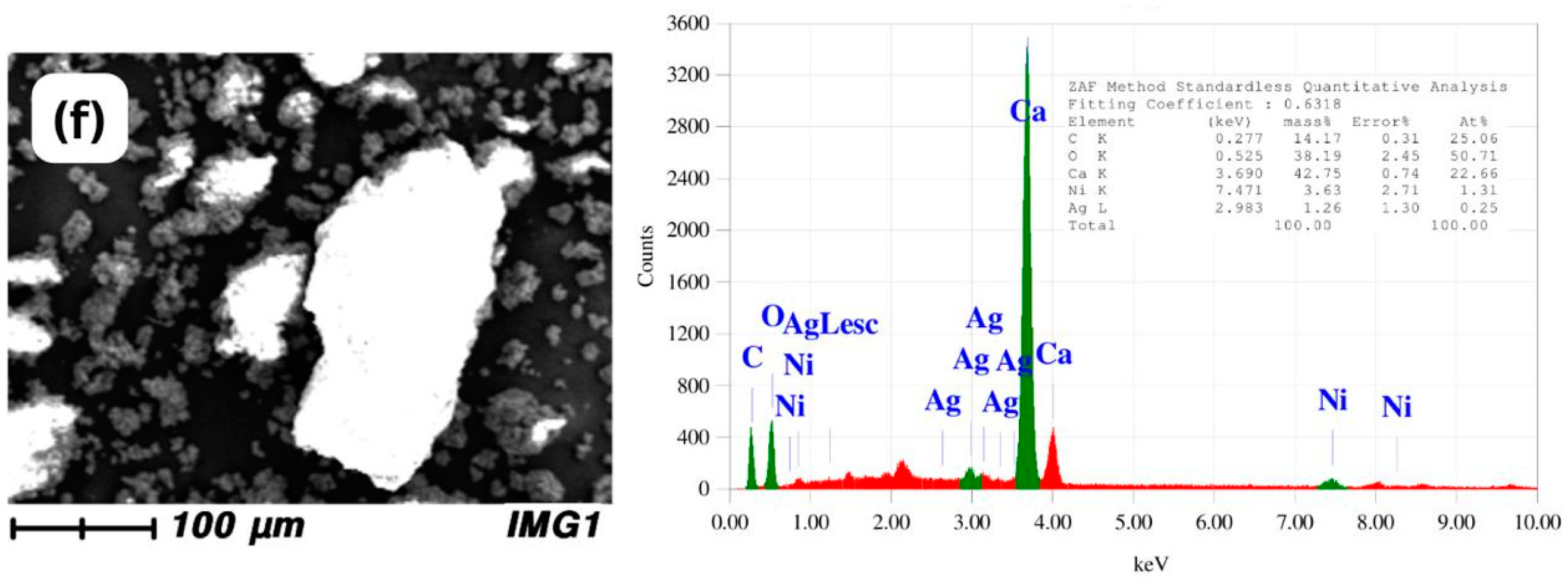 Processes 13 00522 g003b
