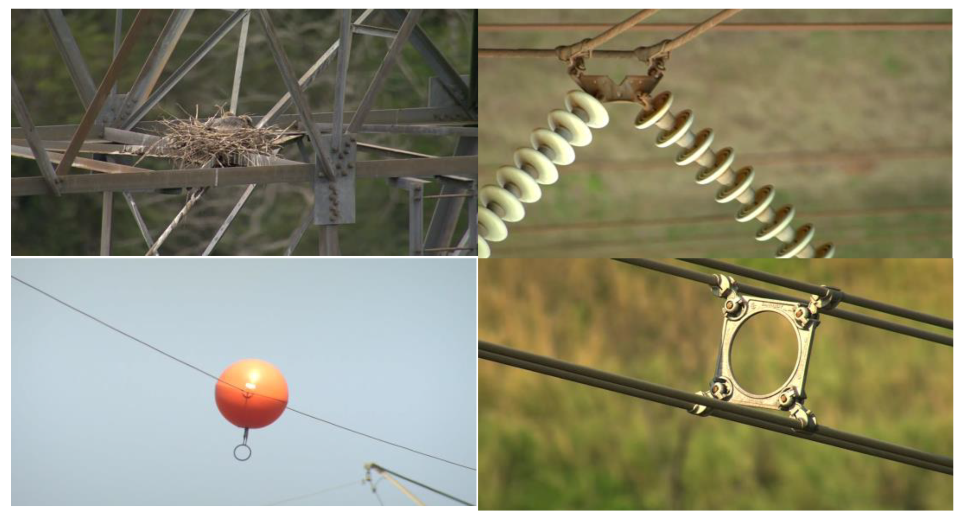 Processes 13 00529 g004