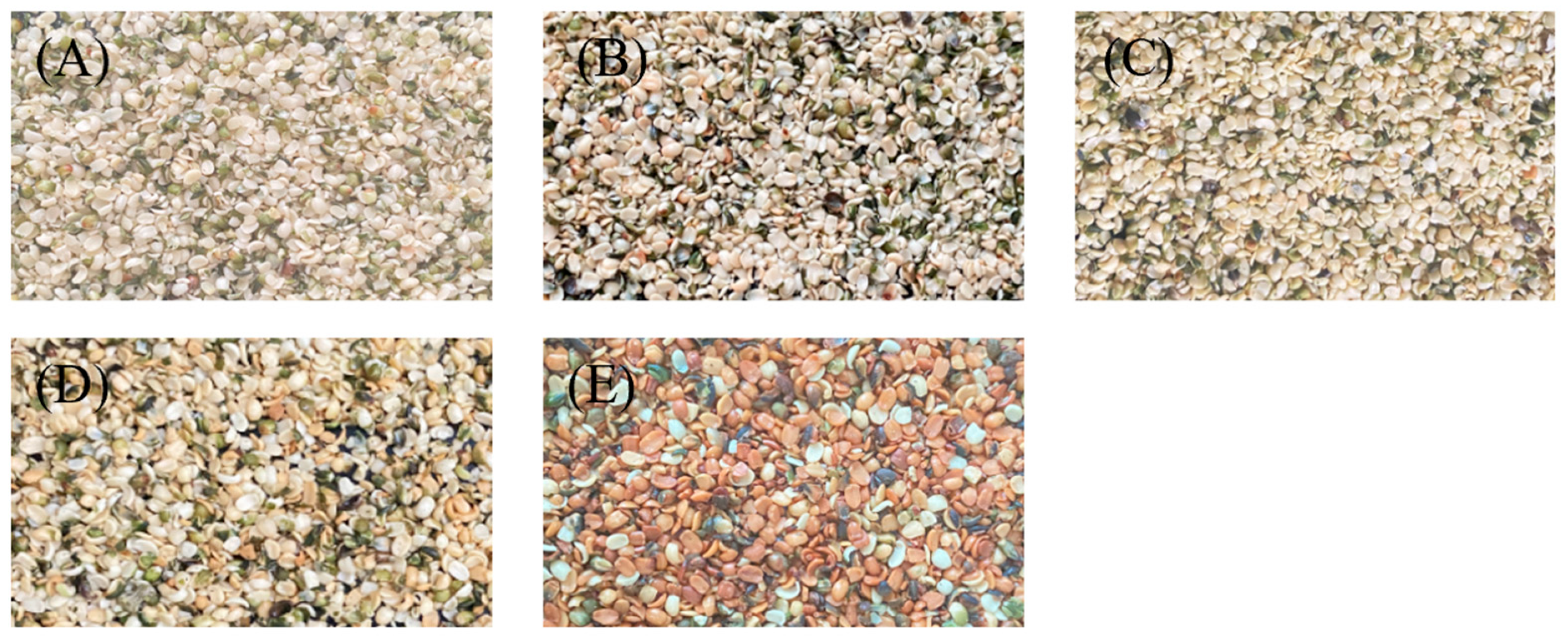 Processes 13 00530 g001