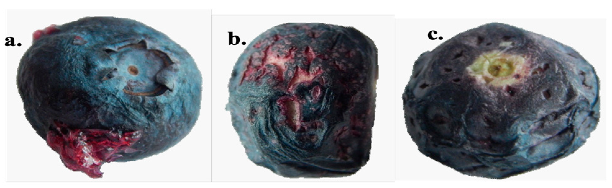 Processes 13 00537 g001