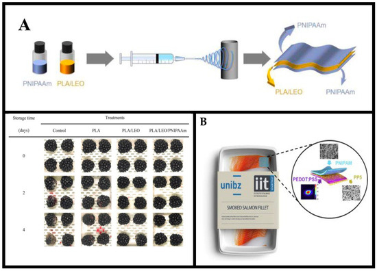 Processes 13 00539 g004