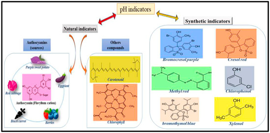Processes 13 00539 g005