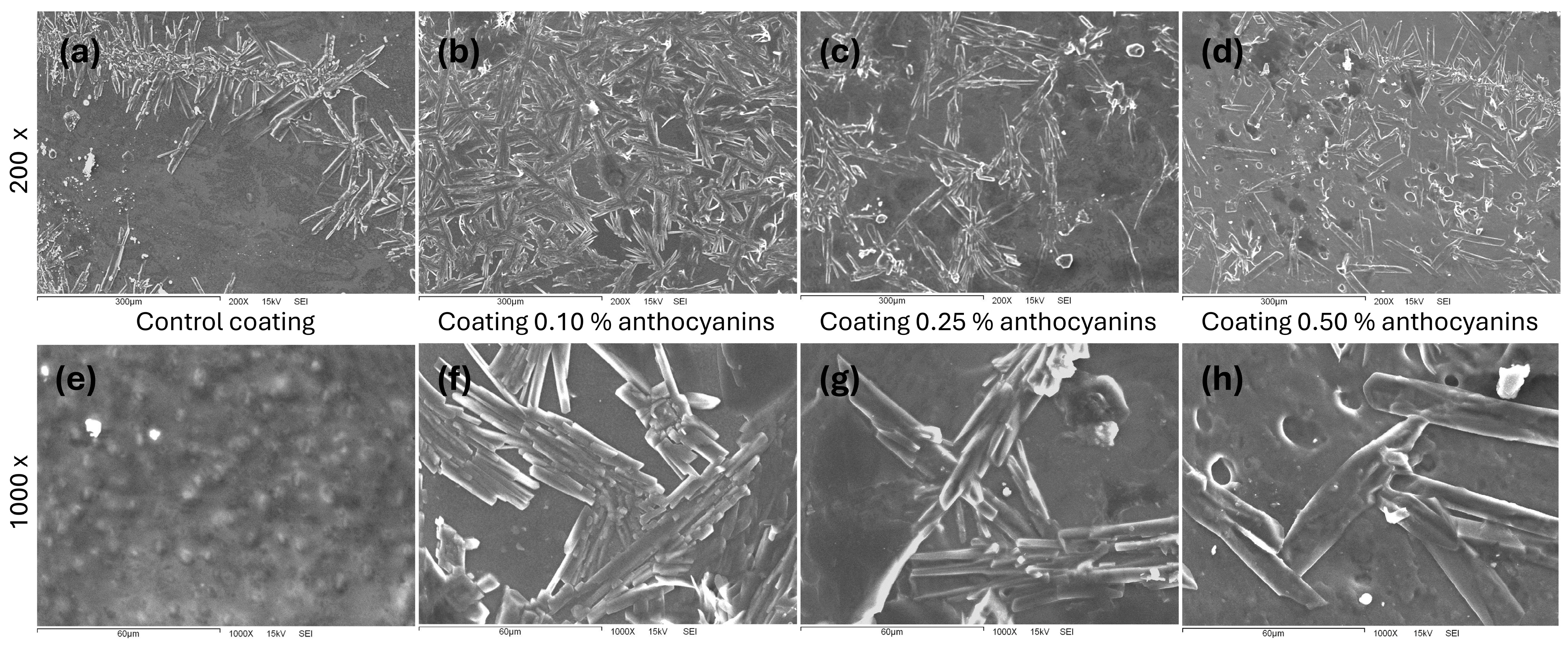 Processes 13 00542 g006