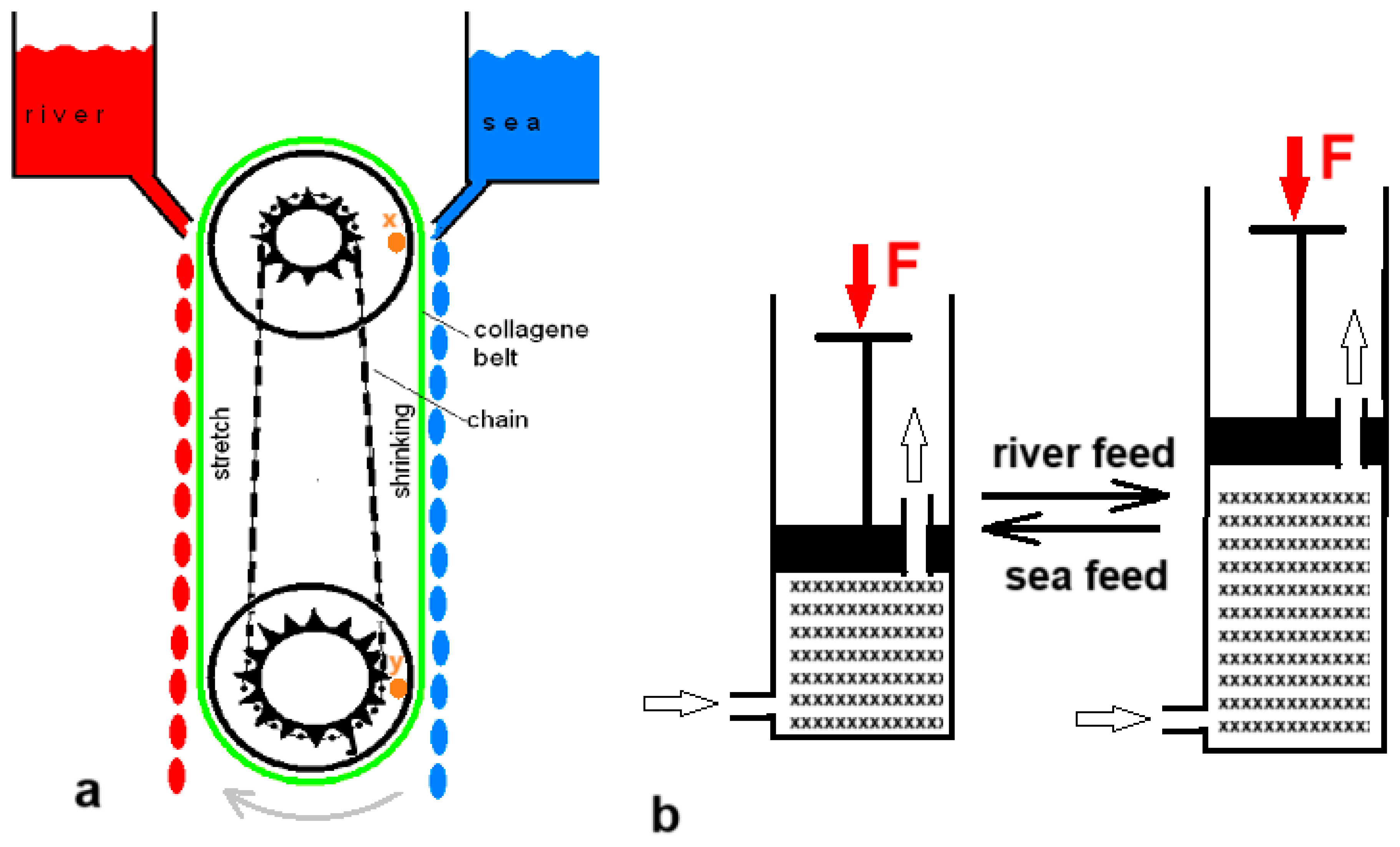 Processes 13 00554 g005