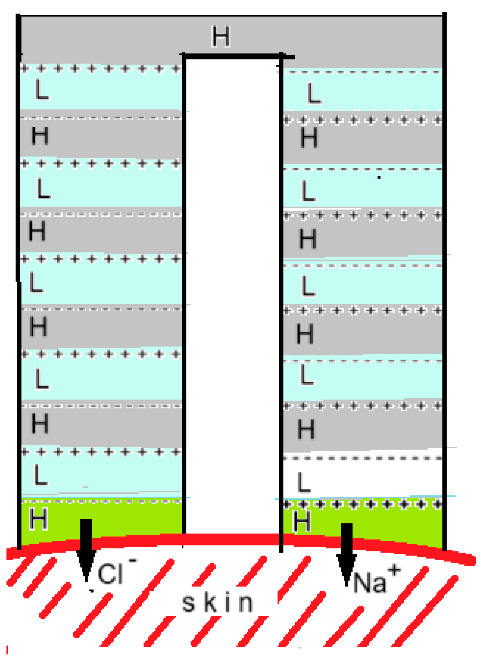 Processes 13 00554 g016