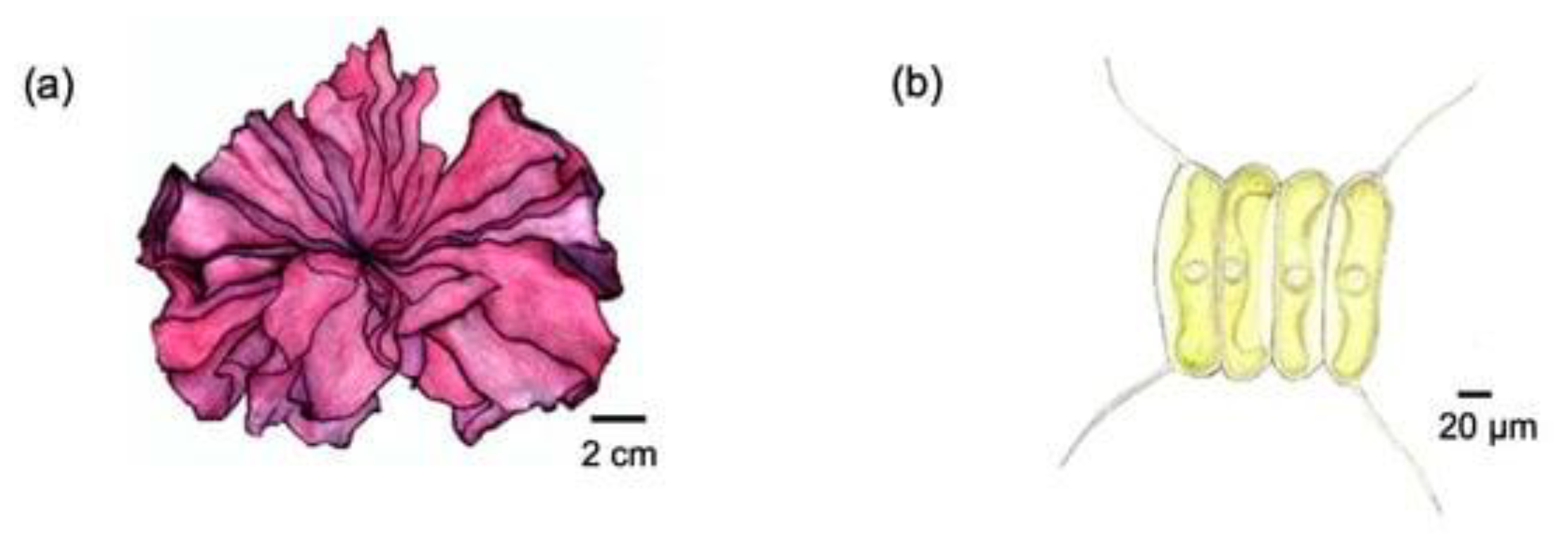 Processes 13 00556 g001