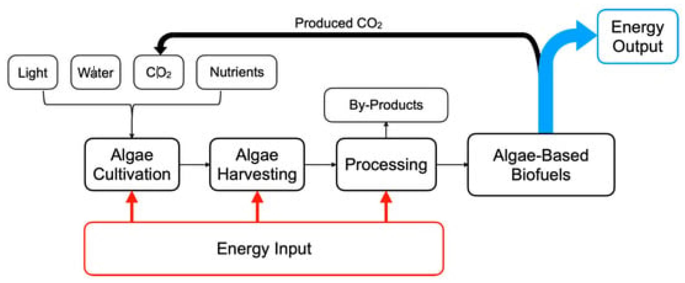 Processes 13 00556 g004