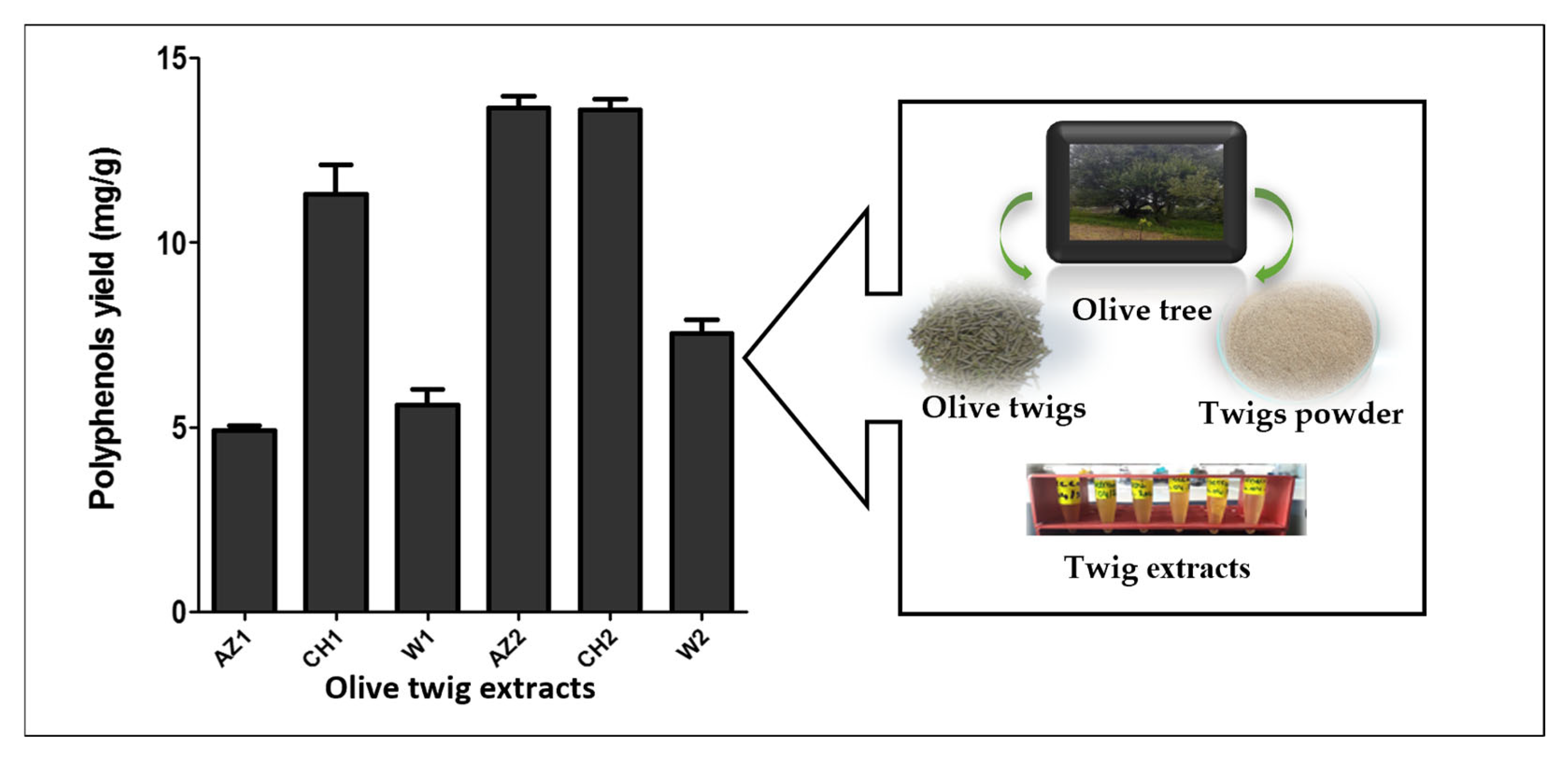 Processes 13 00559 g001