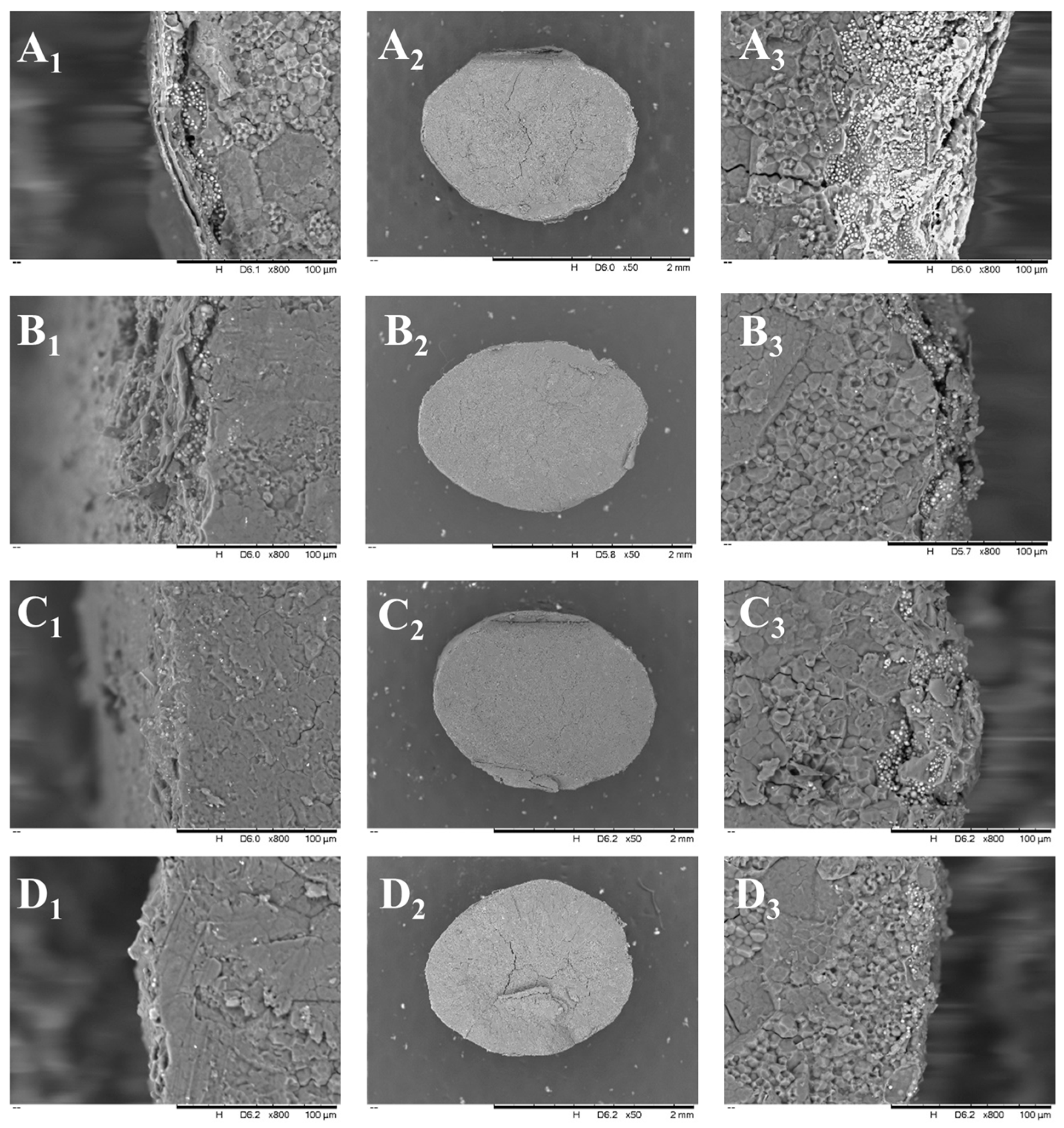 Processes 13 00564 g003