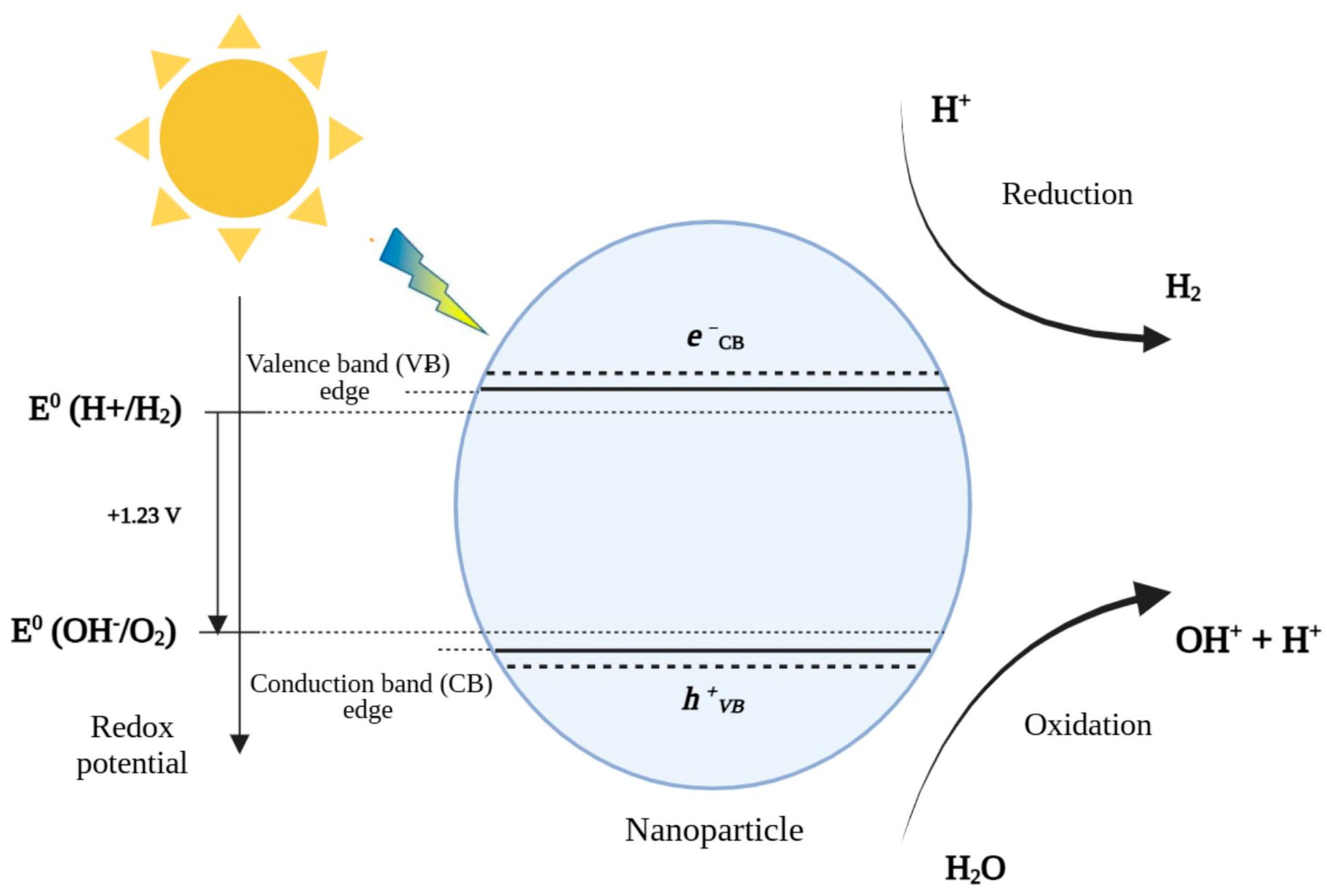 Processes 13 00566 g003