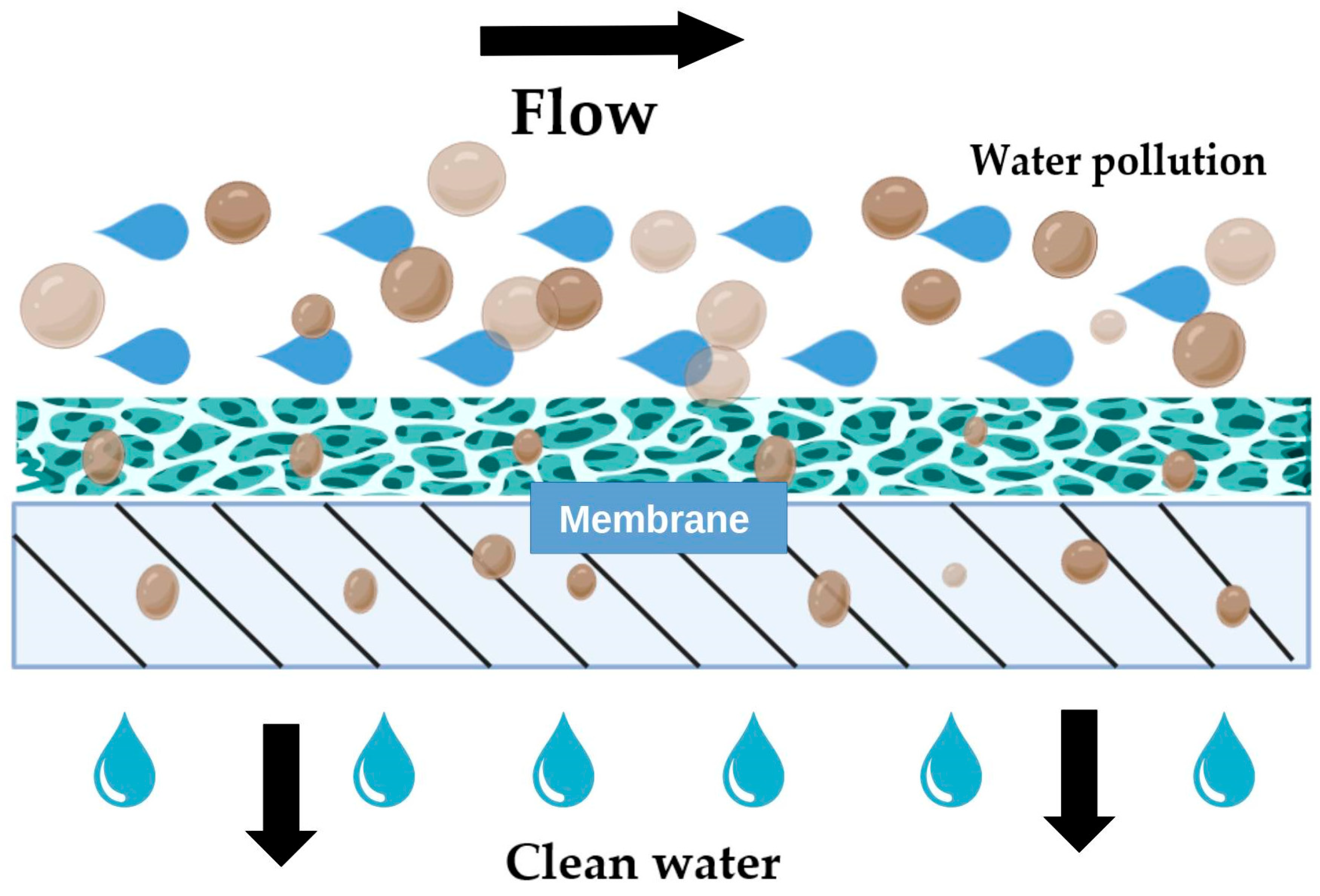Processes 13 00566 g004