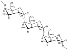 Processes 13 00566 i006