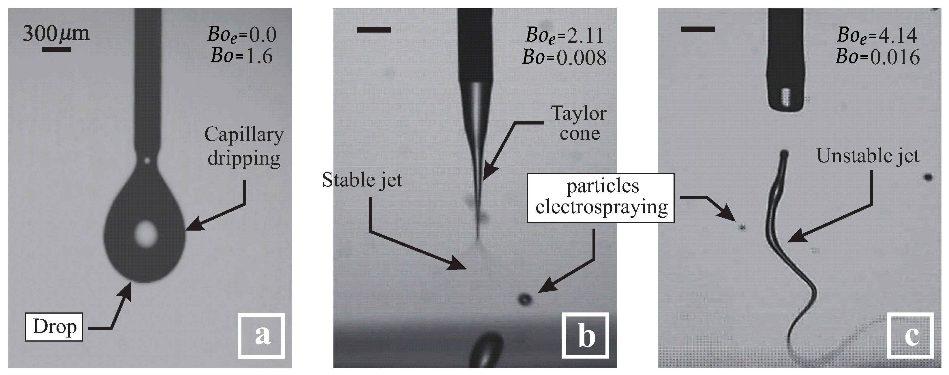 Processes 13 00567 g004