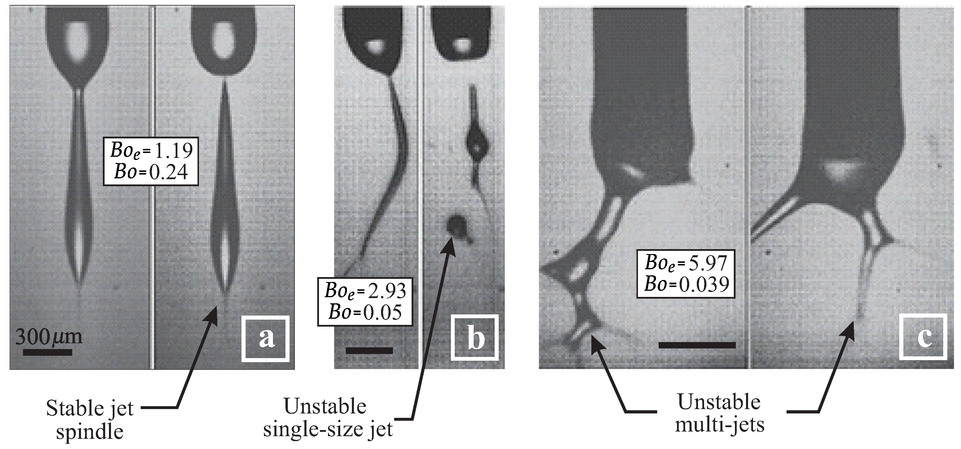 Processes 13 00567 g005