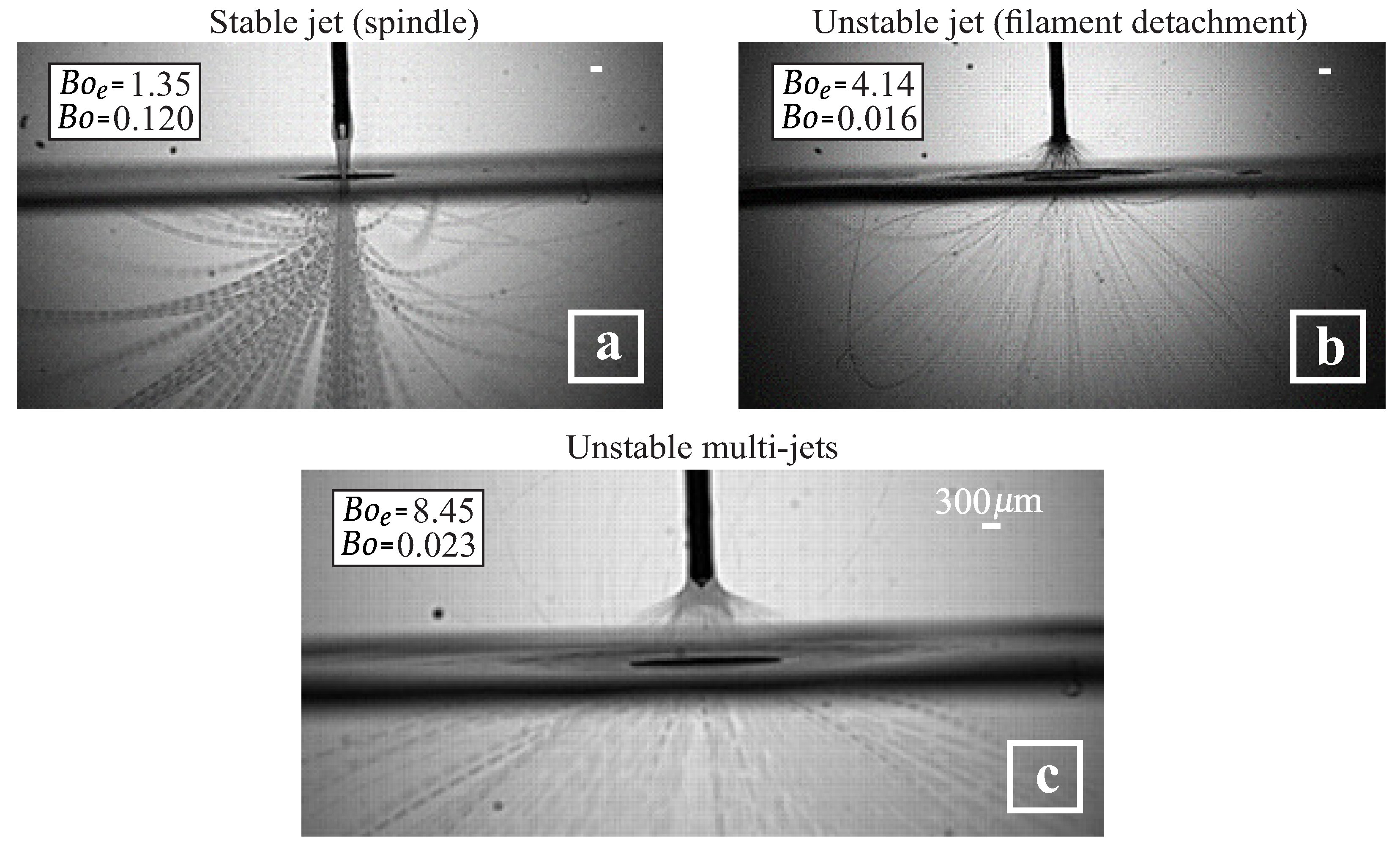 Processes 13 00567 g008