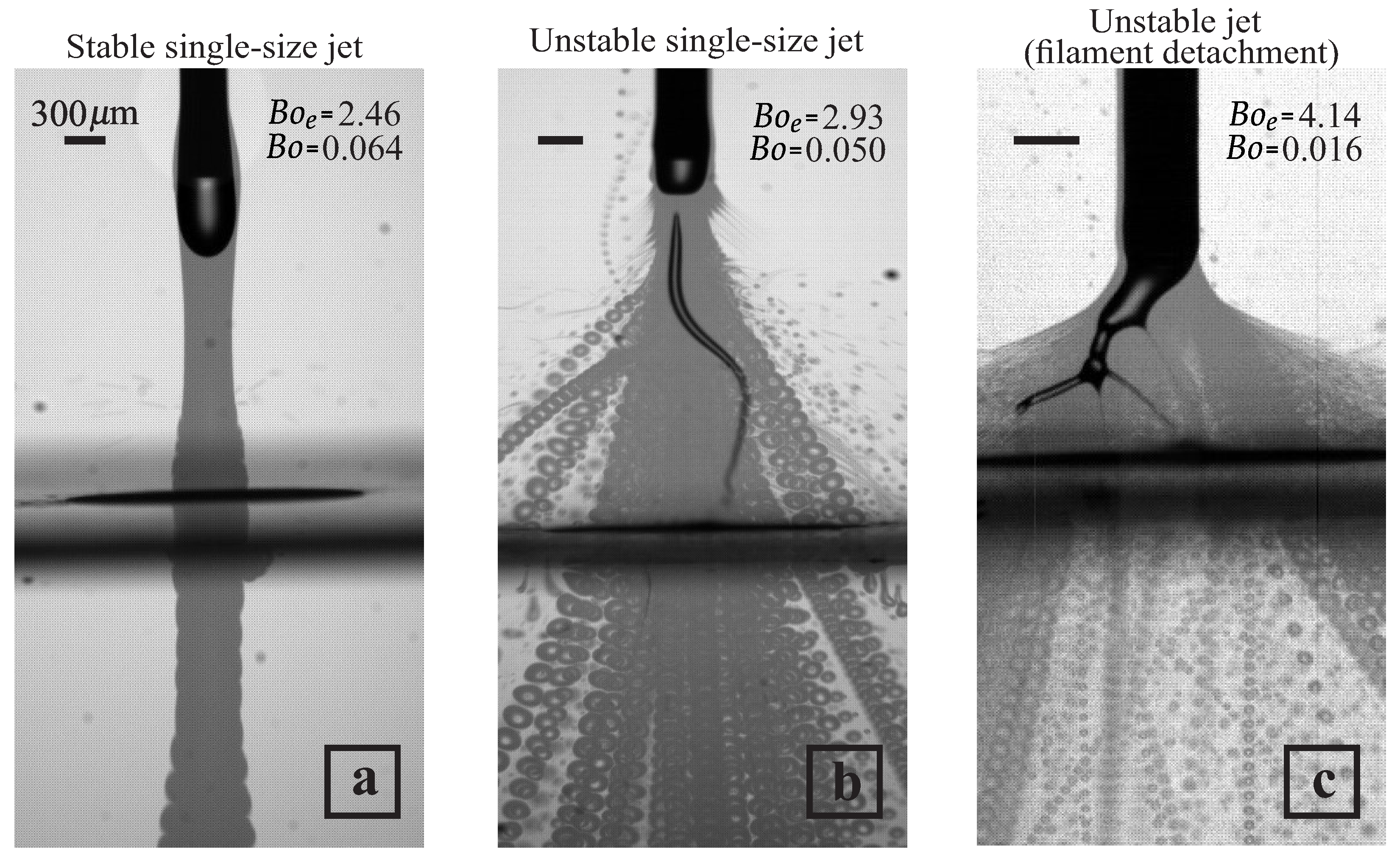 Processes 13 00567 g009