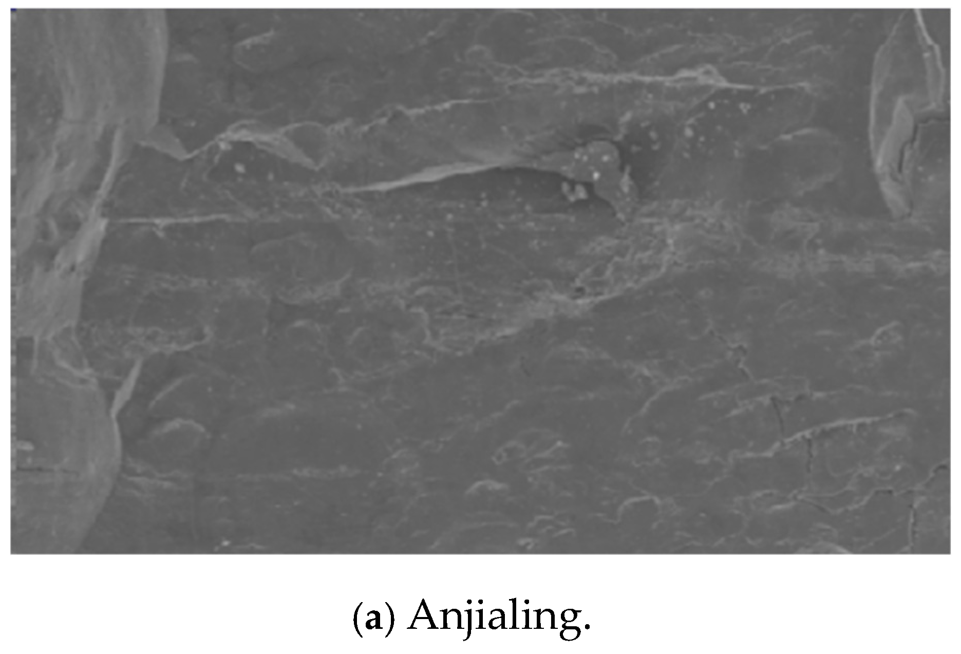 Processes 13 00570 g003a