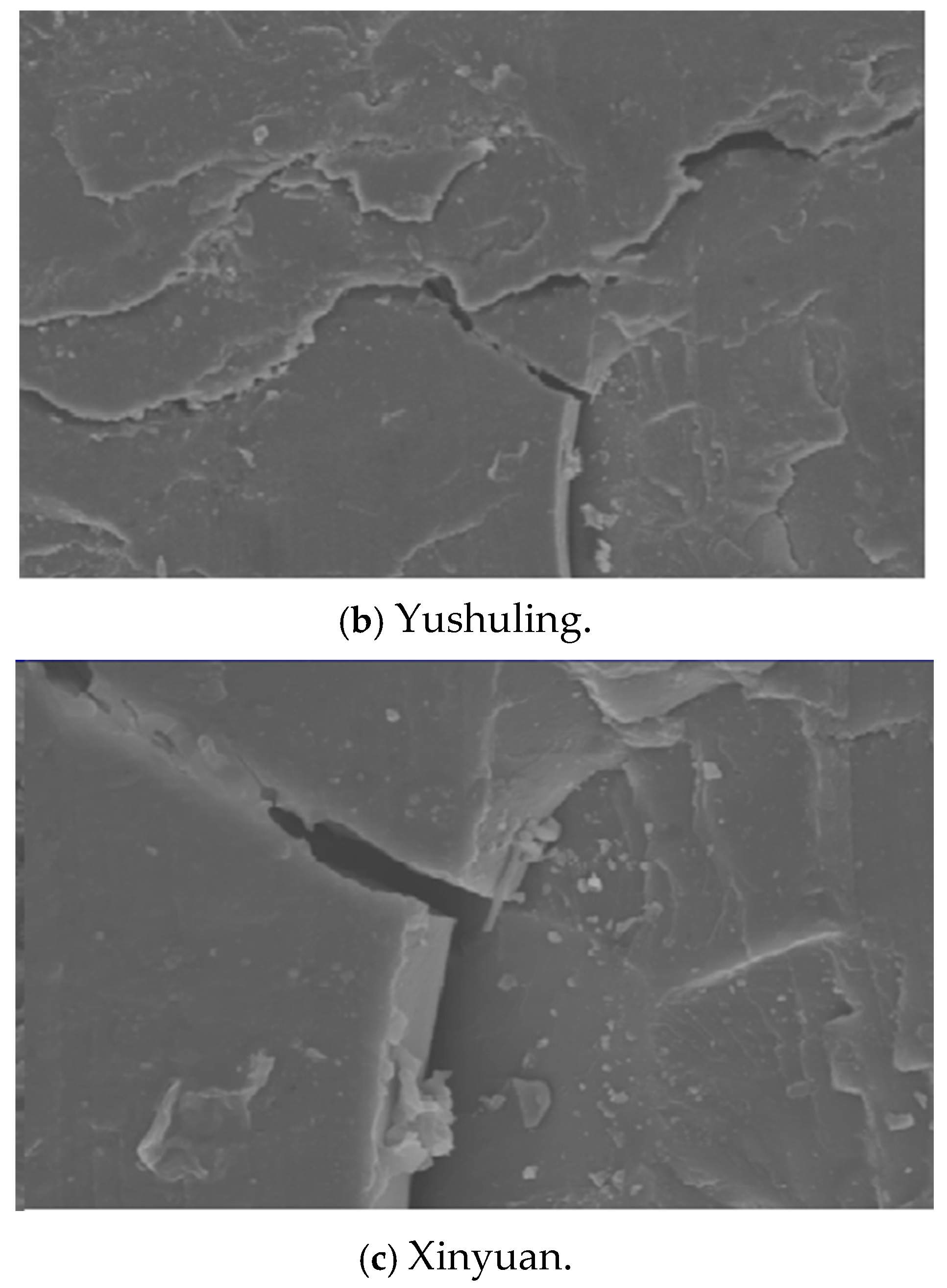 Processes 13 00570 g003b