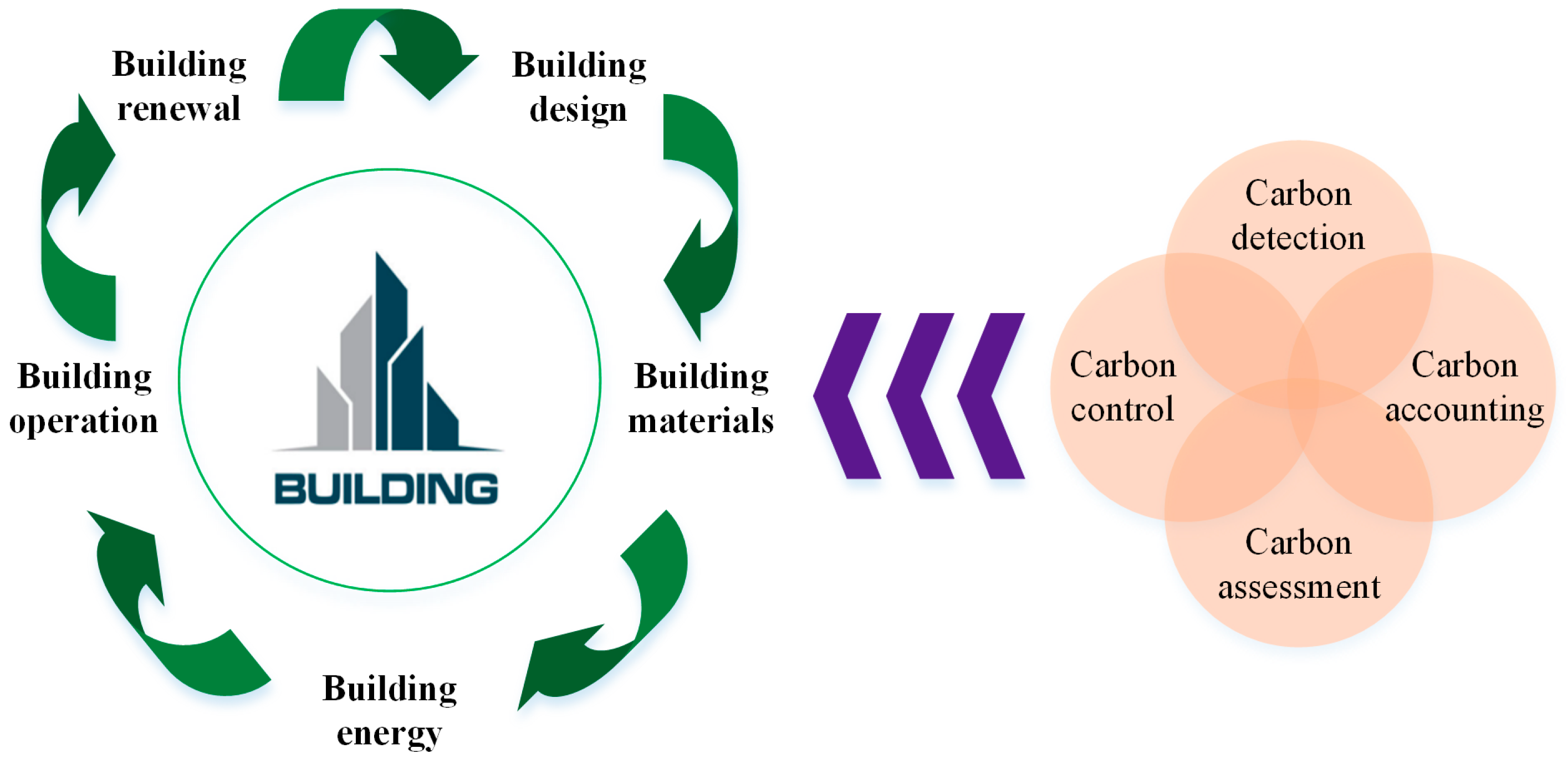 Processes 13 00574 g001