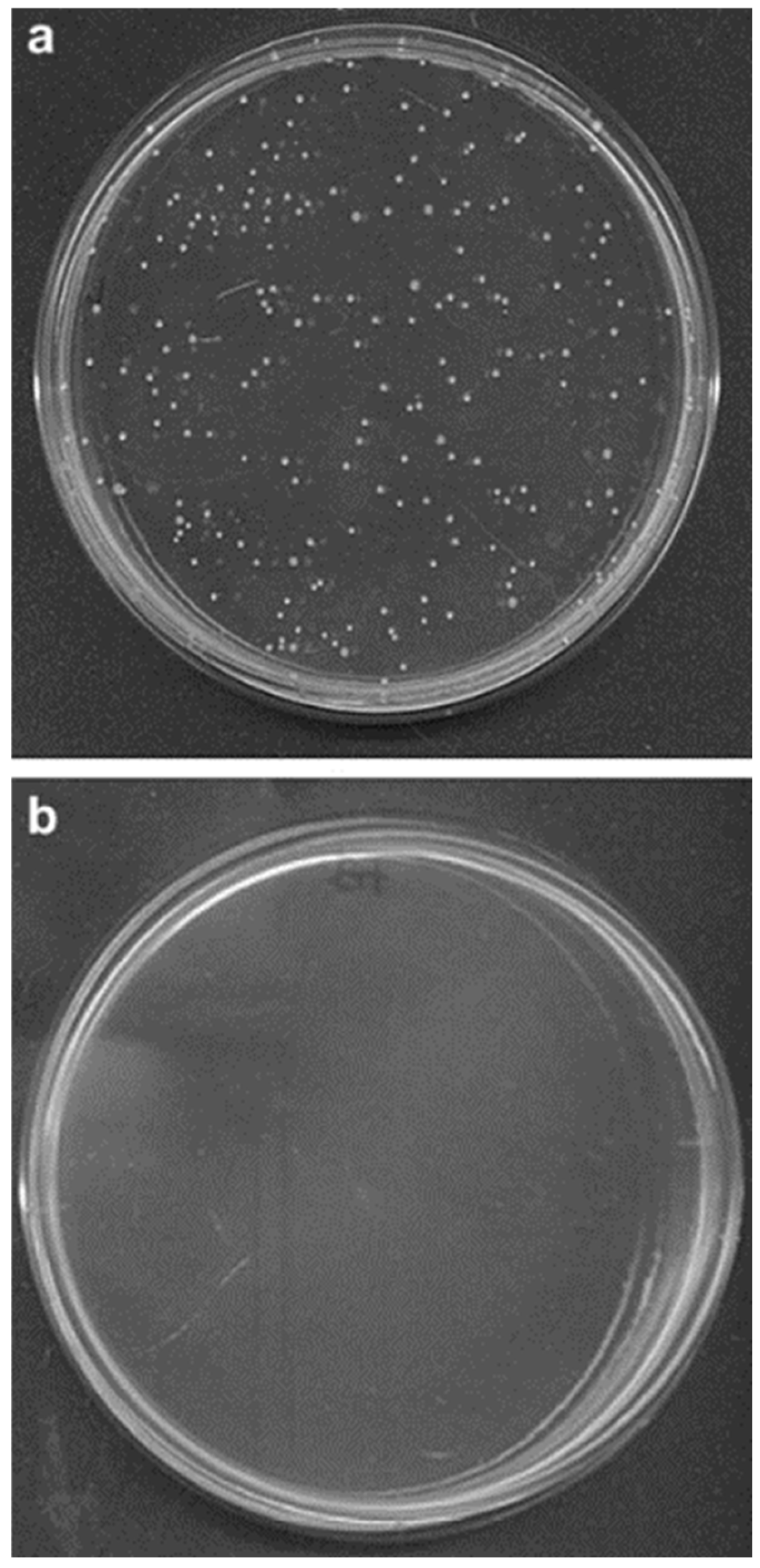 Processes 13 00587 g011