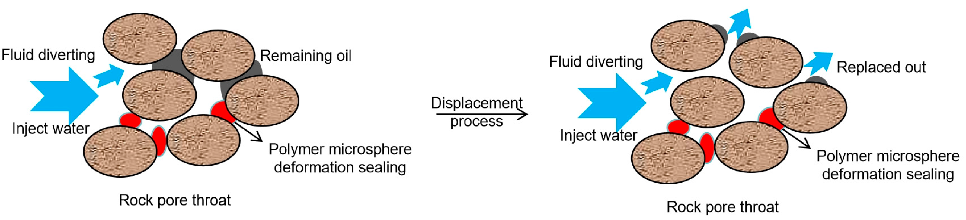 Processes 13 00596 g010