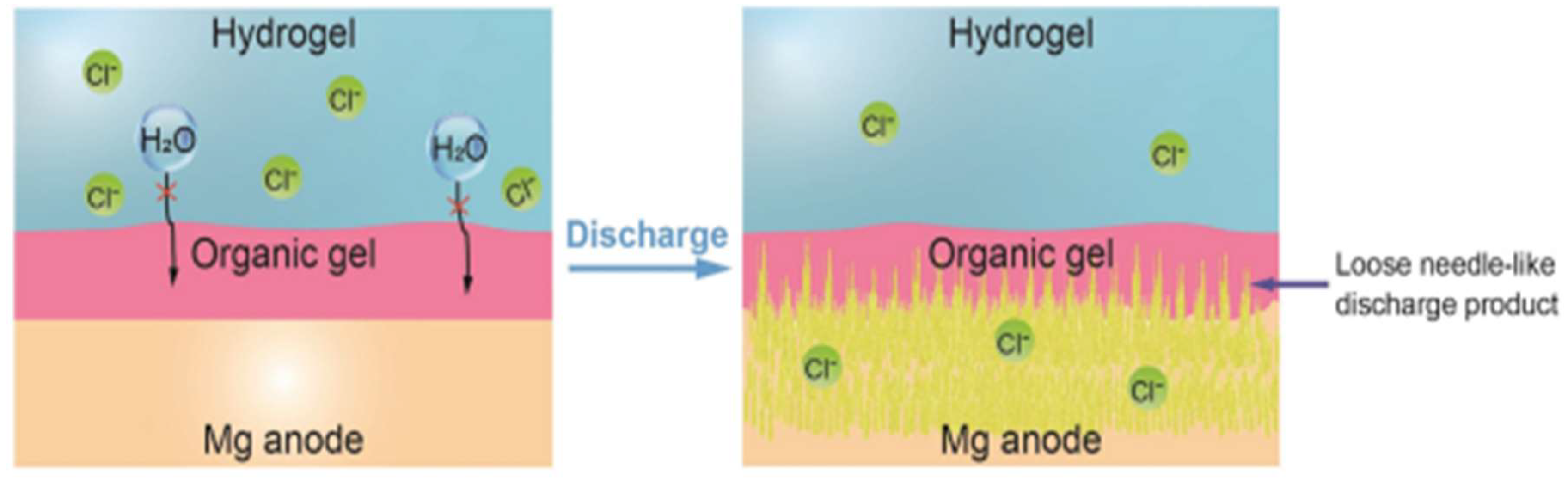 Processes 13 00607 g002