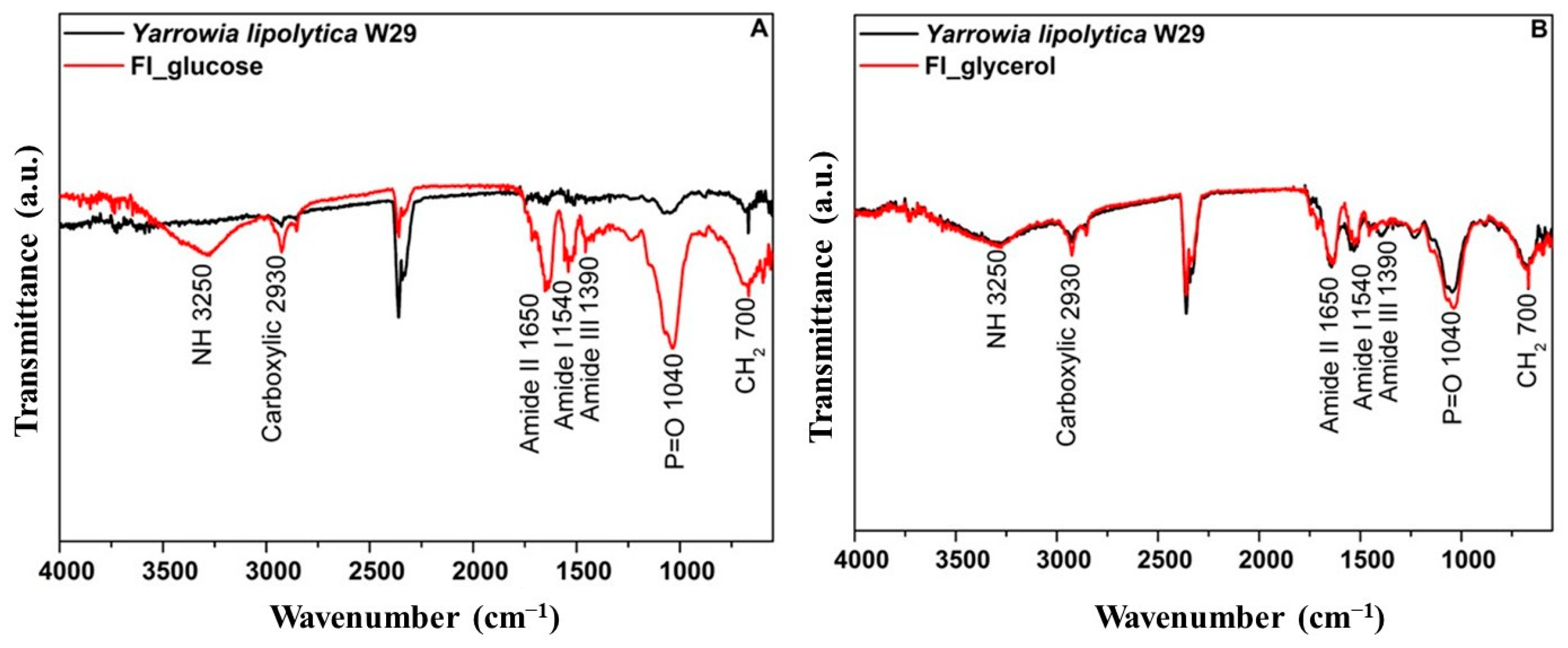 Processes 13 00615 g004