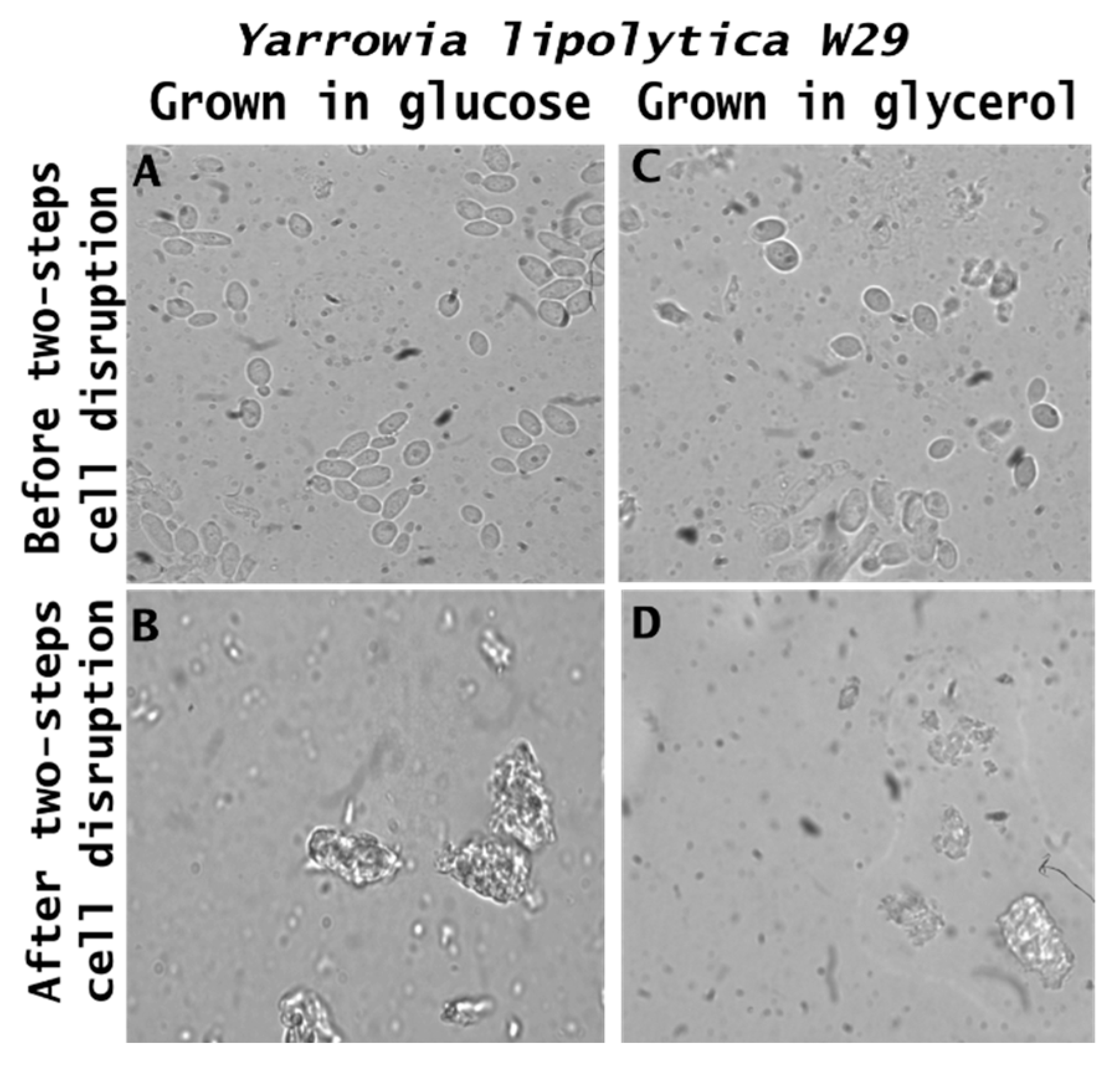 Processes 13 00615 g005