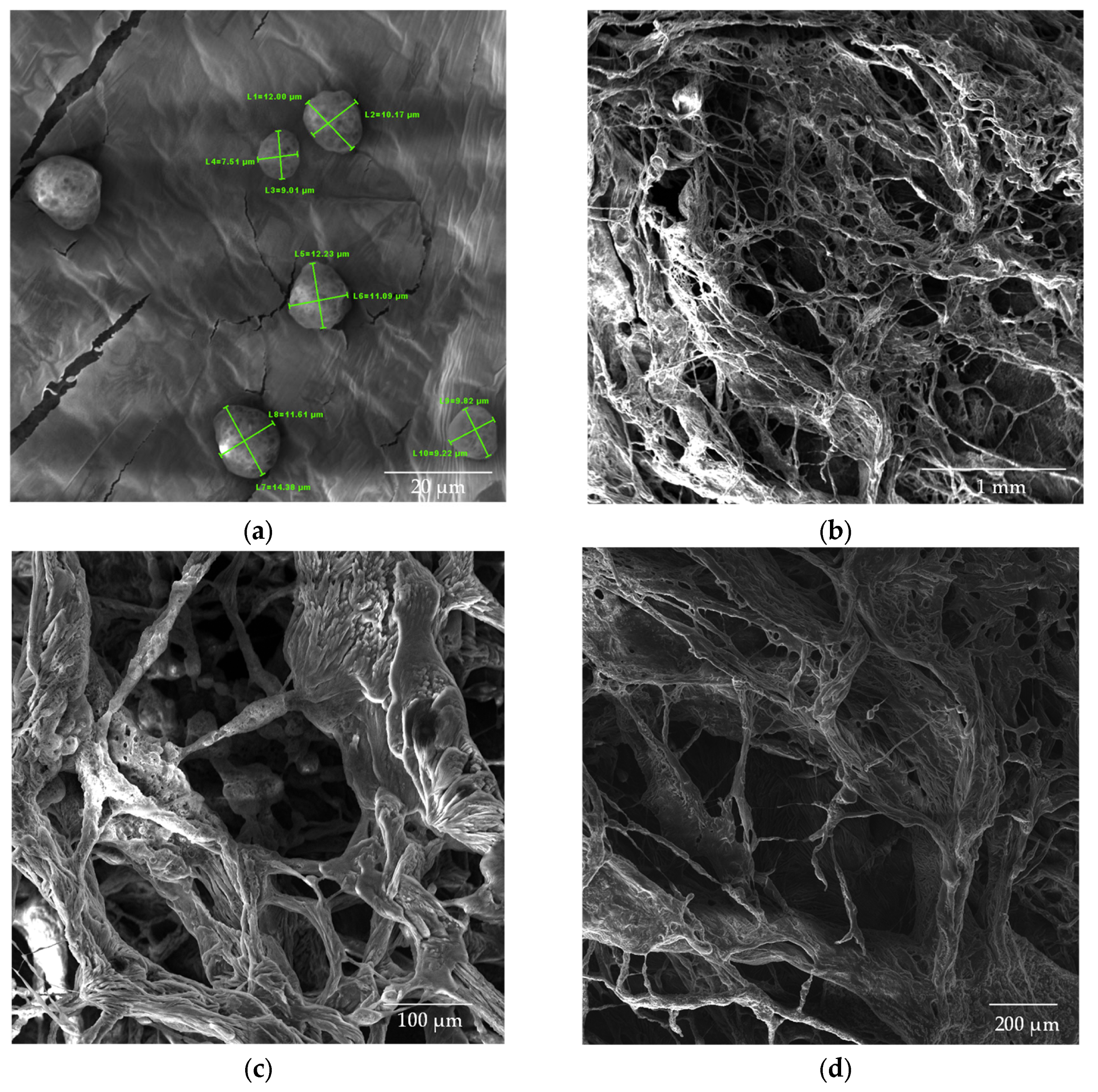 Processes 13 00617 g008