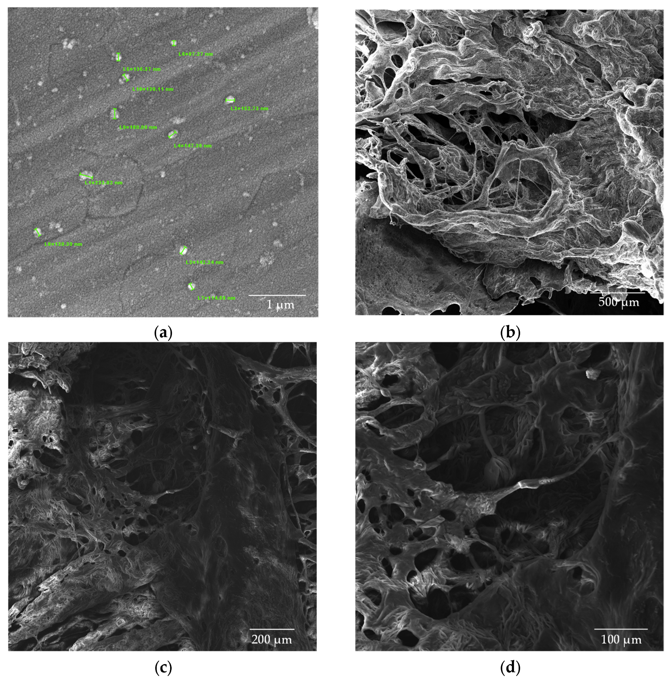 Processes 13 00617 g009