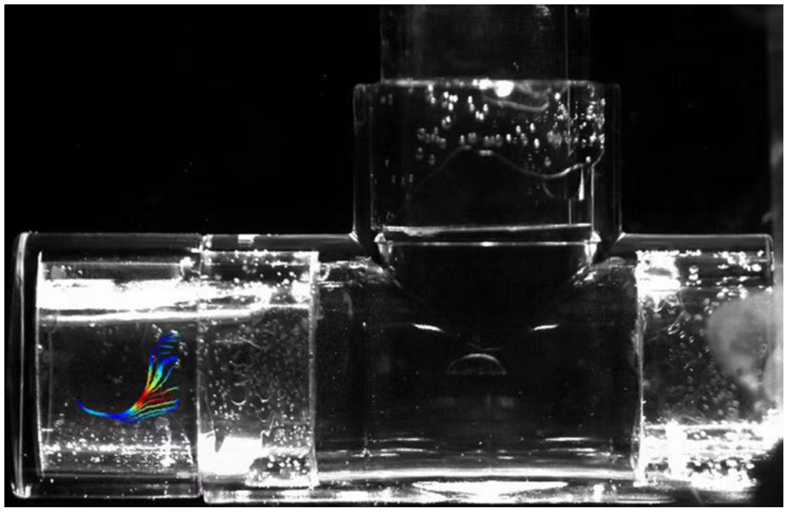 Processes 13 00619 g004