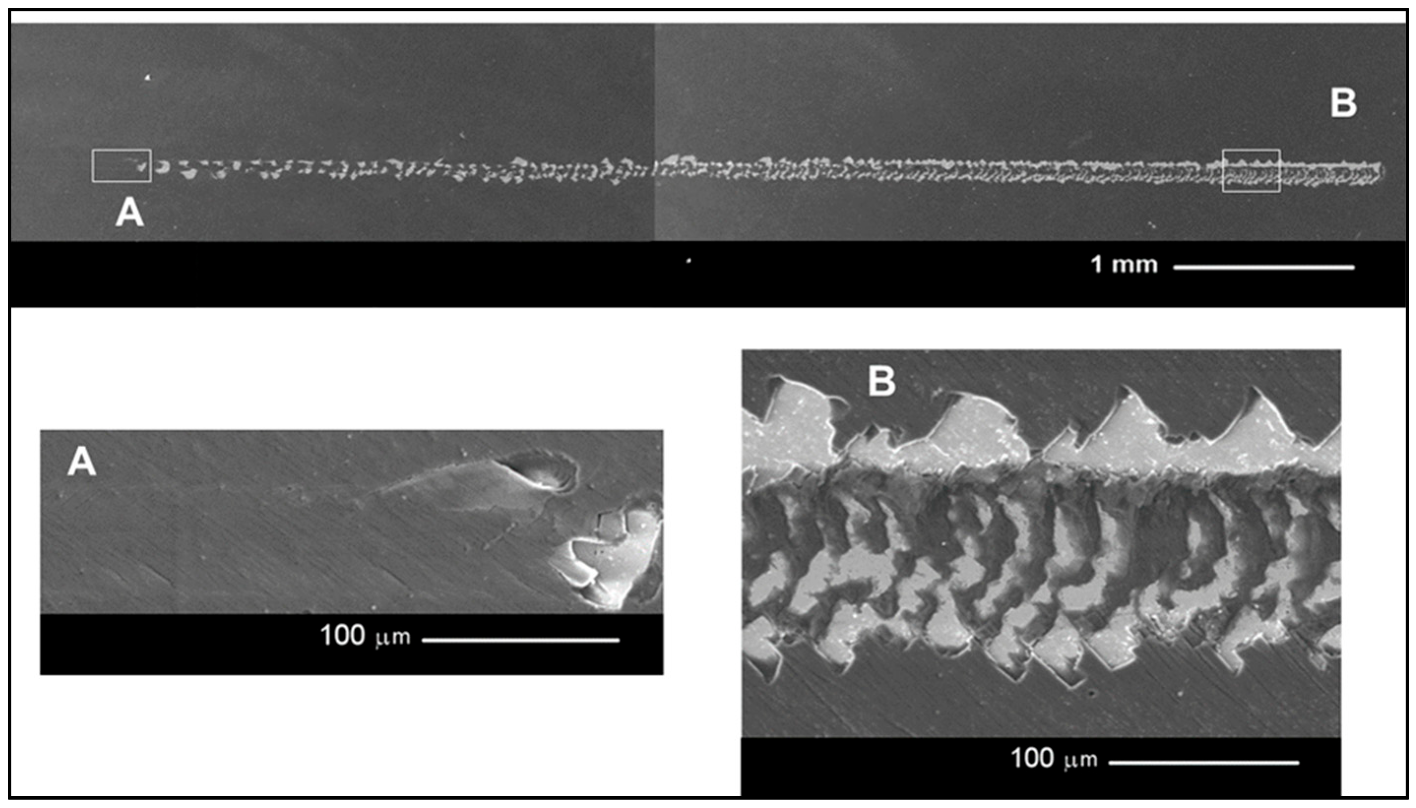 Processes 13 00624 g013
