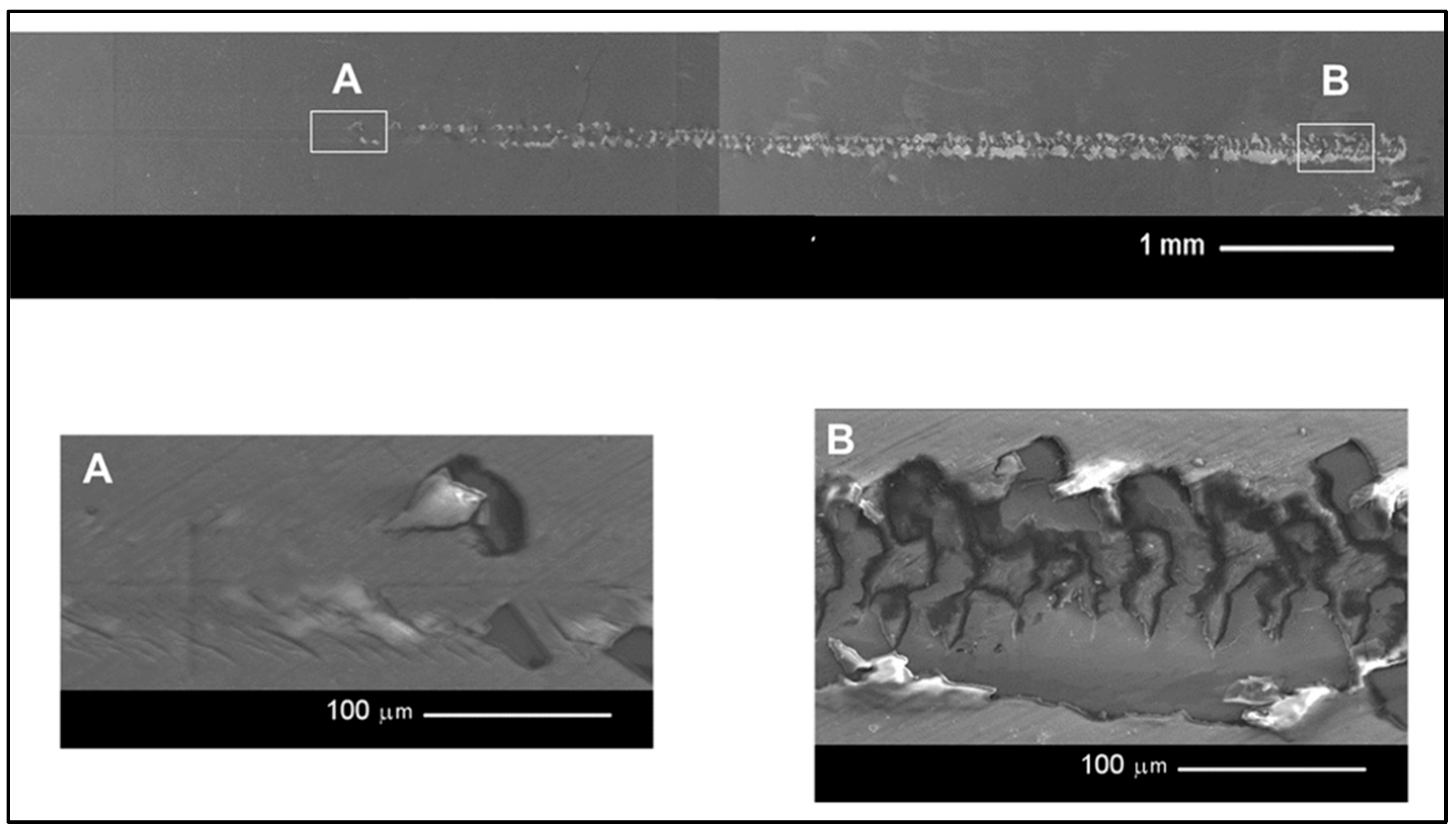 Processes 13 00624 g014