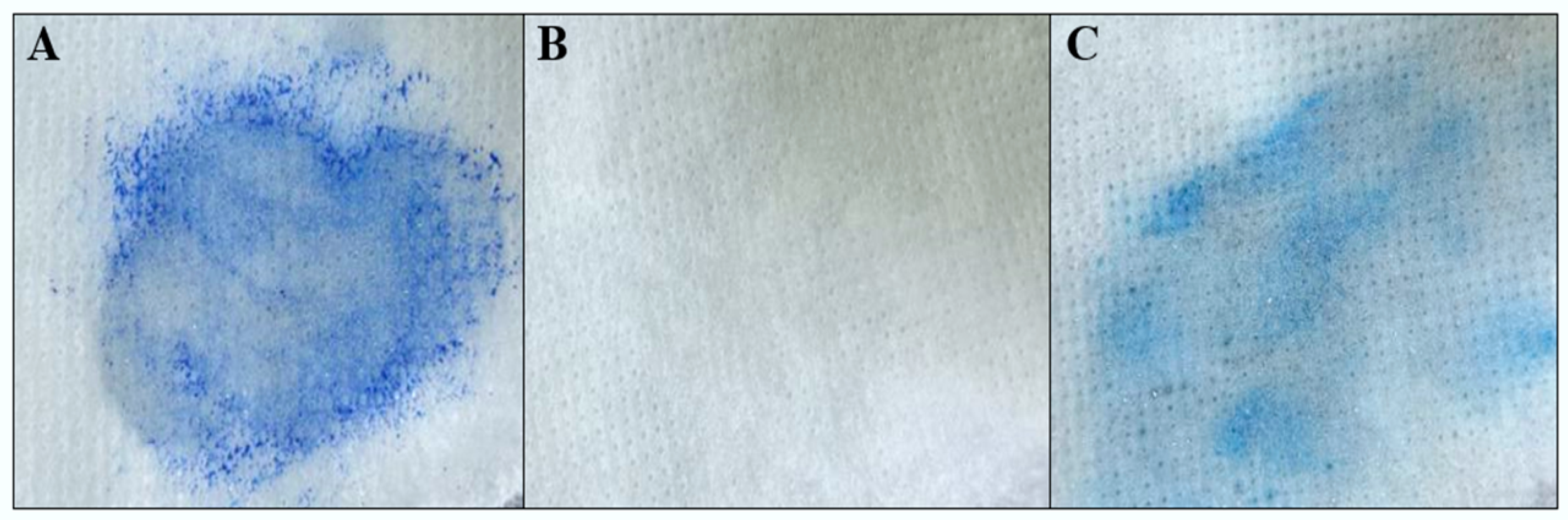 Processes 13 00627 g008