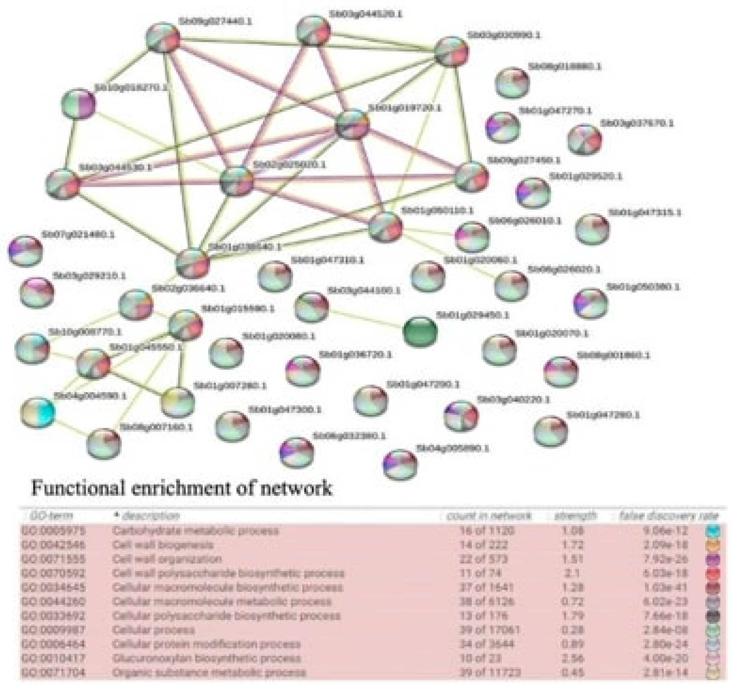 Processes 13 00628 g003