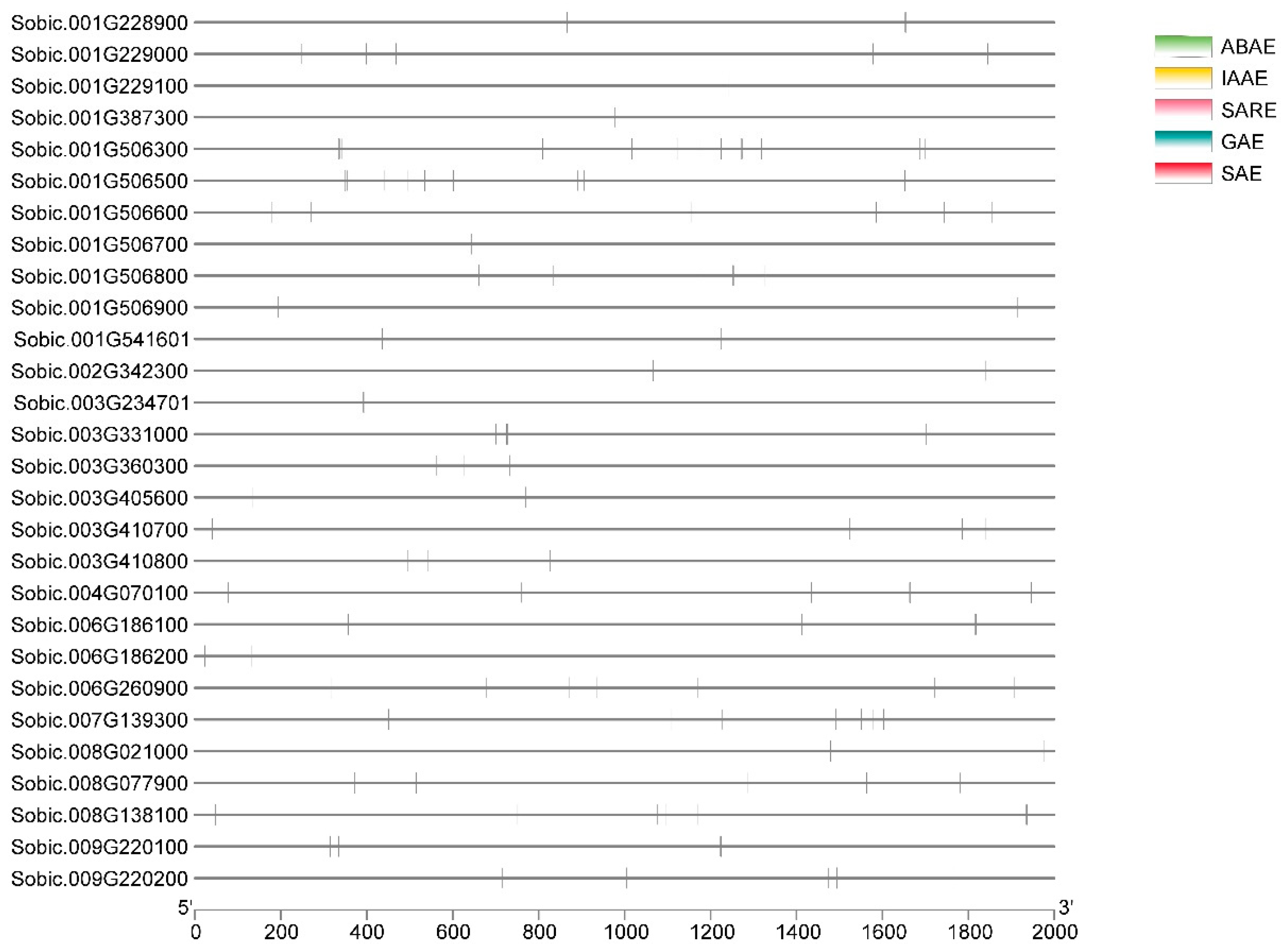 Processes 13 00628 g007