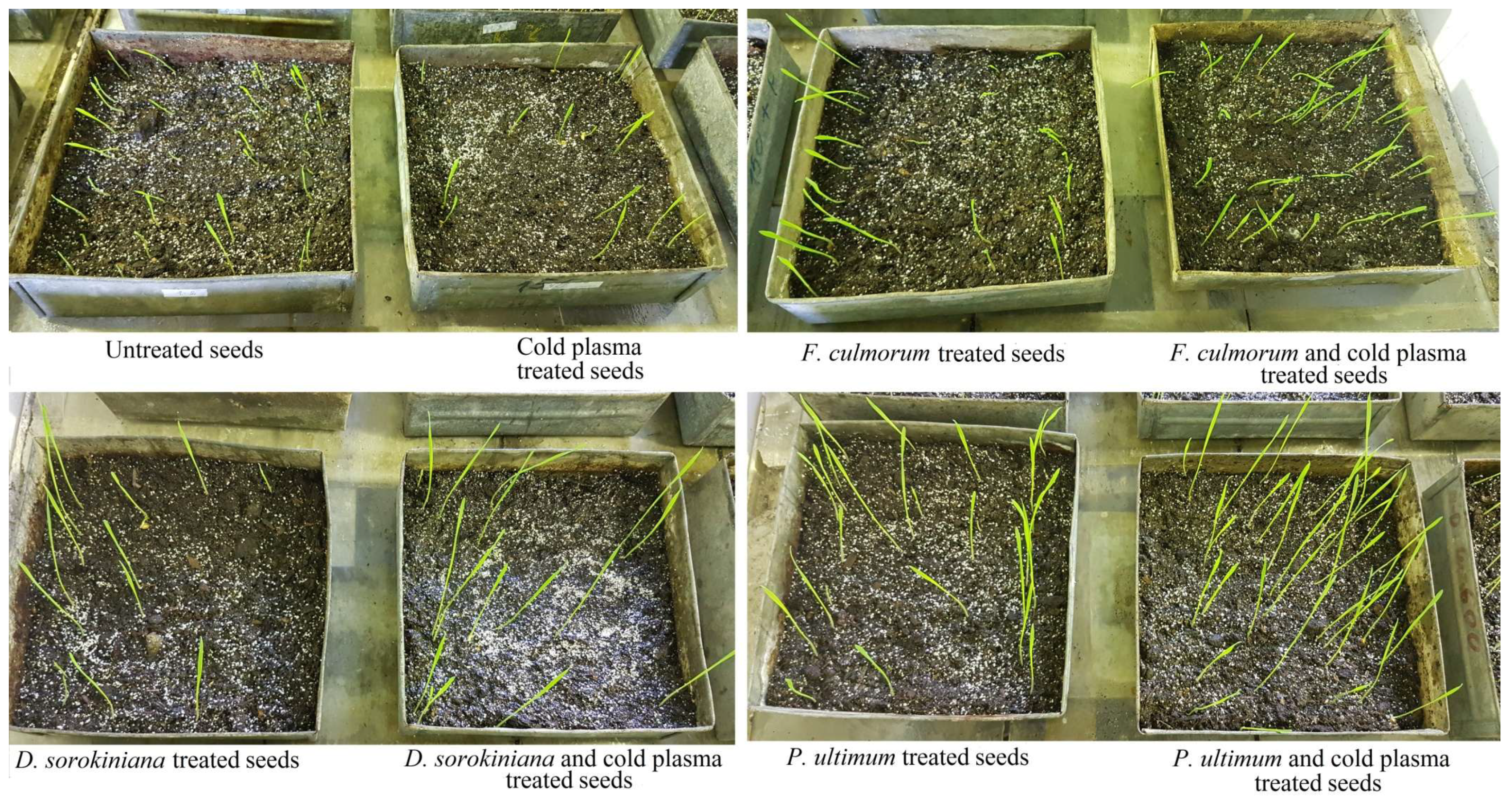 Processes 13 00632 g001