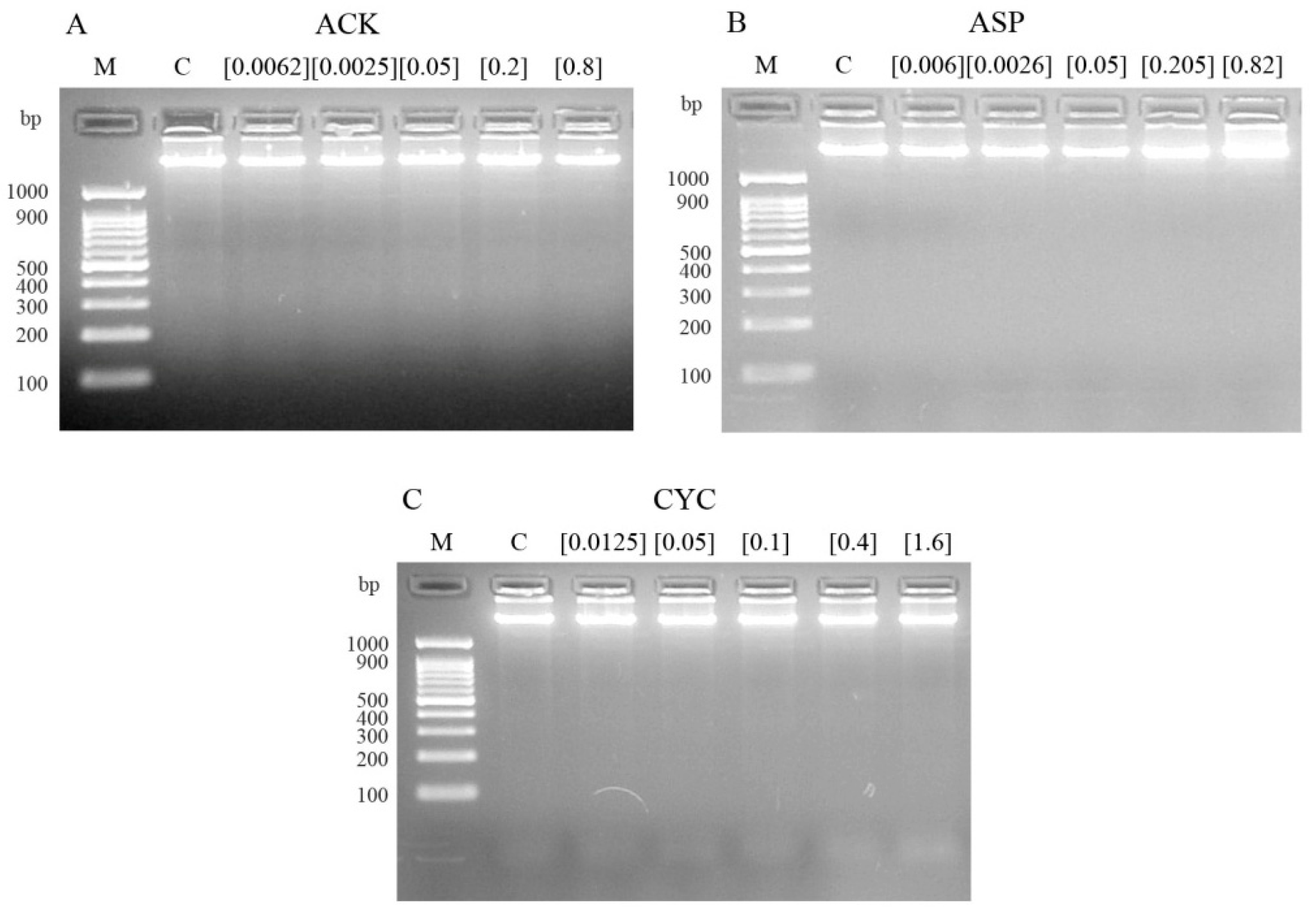 Processes 13 00635 g001