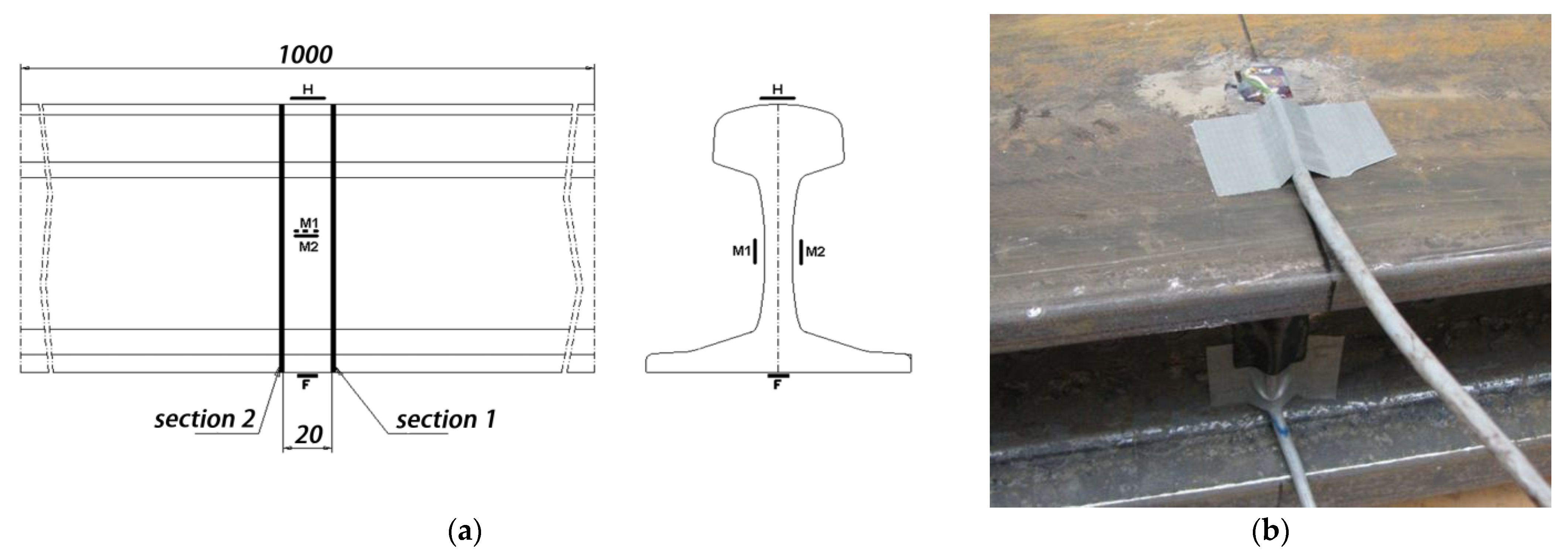 Processes 13 00646 g010