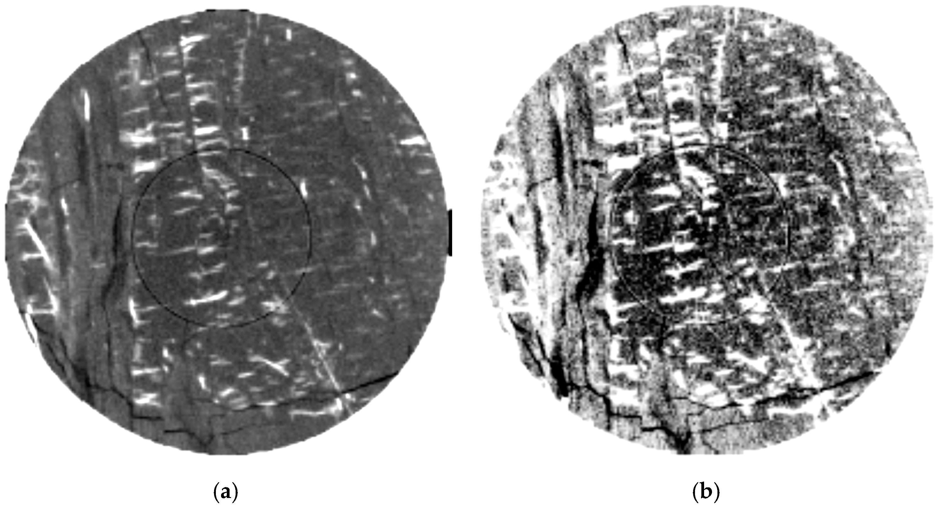 Processes 13 00652 g003