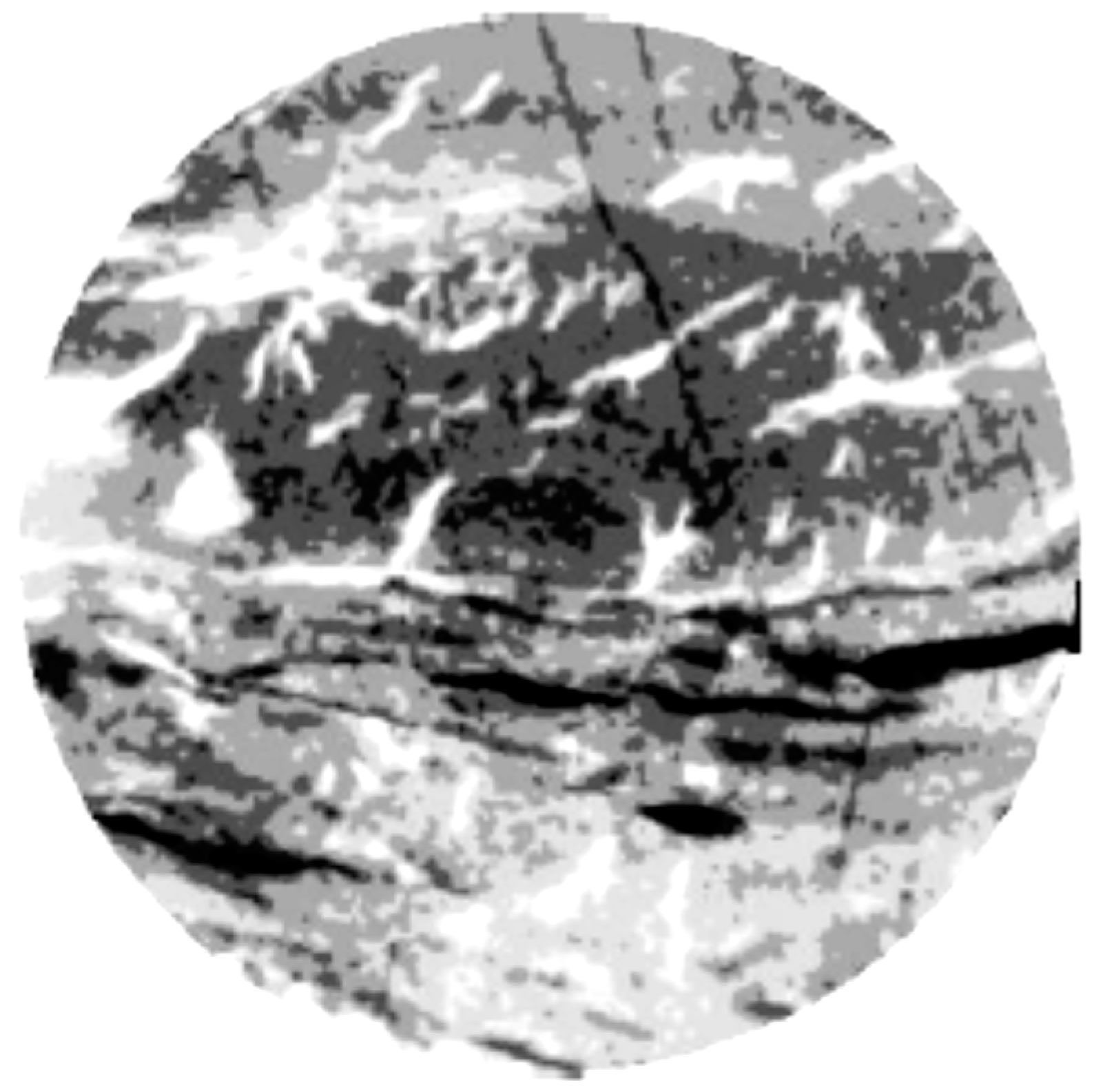 Processes 13 00652 g004